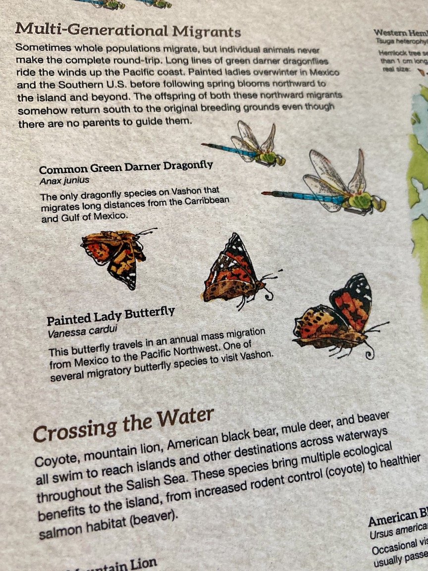 Migration_poster_closeup_2.jpeg