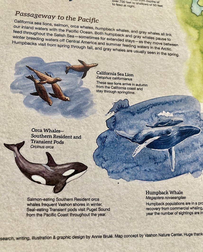 Migration_poster_closeup_3.jpeg