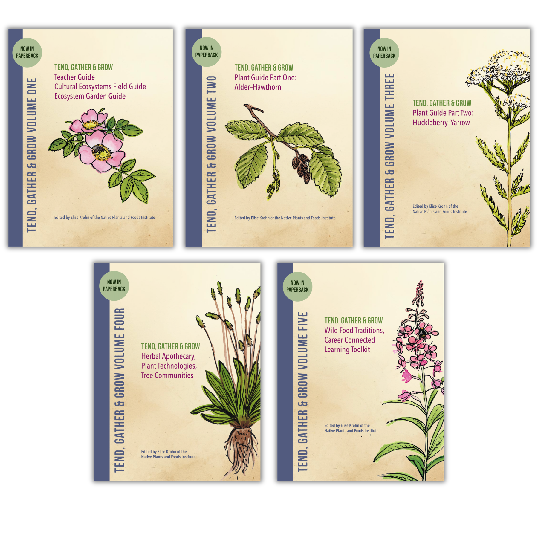 Tend 5-volume set covers.png