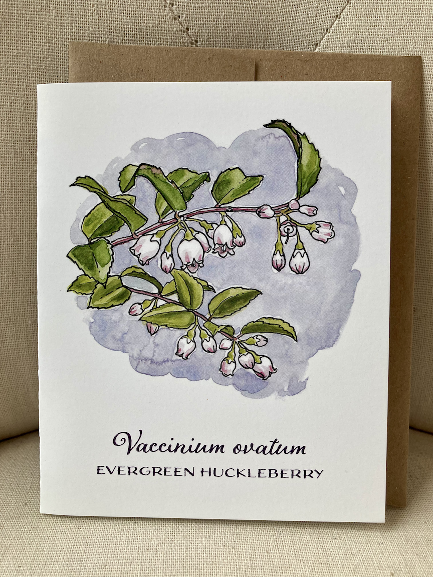 Notecard_BerryFlower_productpic_EvHuckle.png