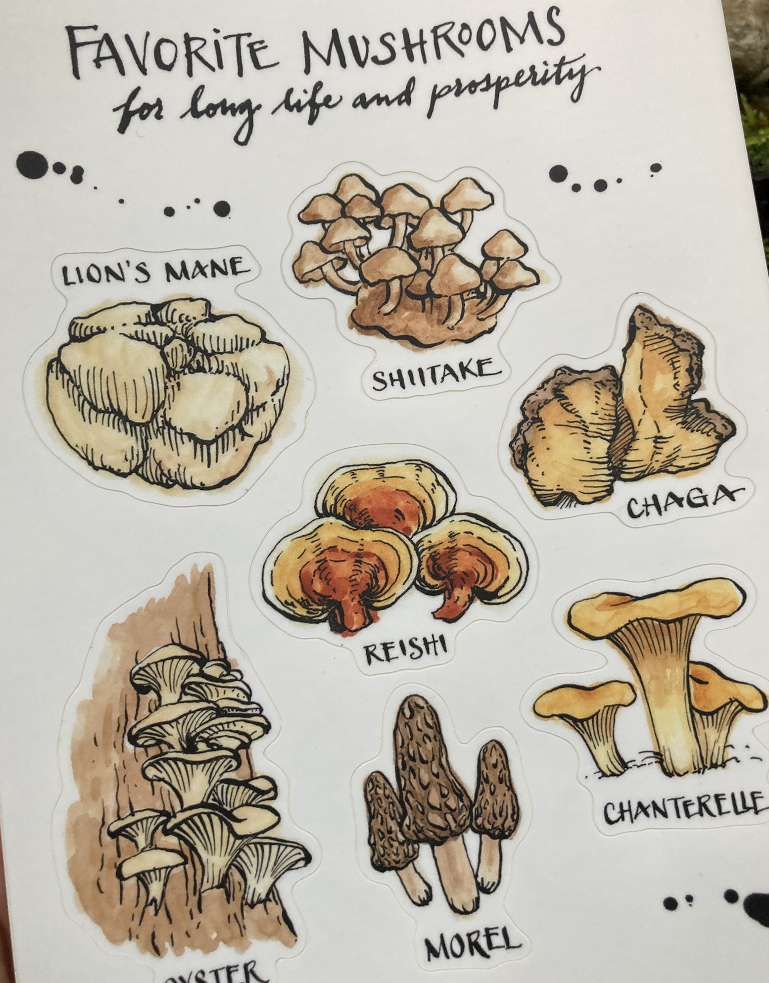 StickerSheet_mushrooms_productpic_3.png