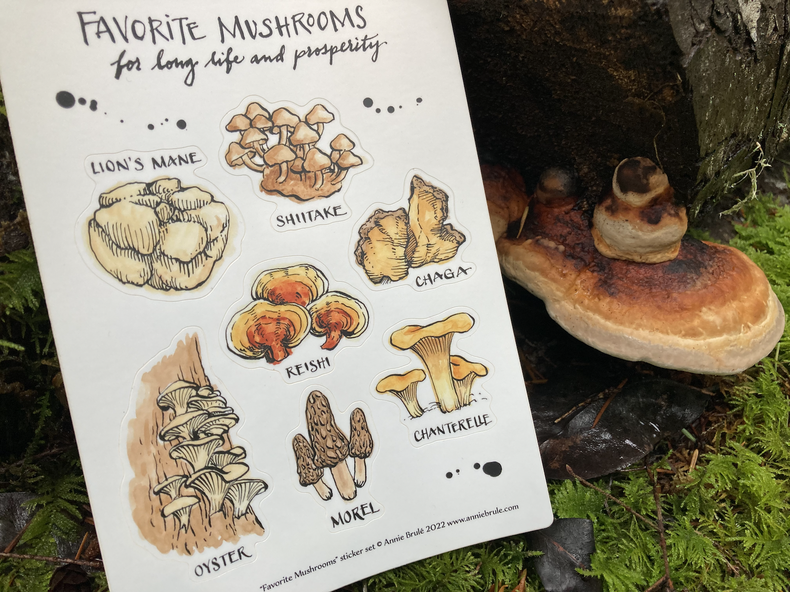 StickerSheet_mushrooms_productpic_2.png