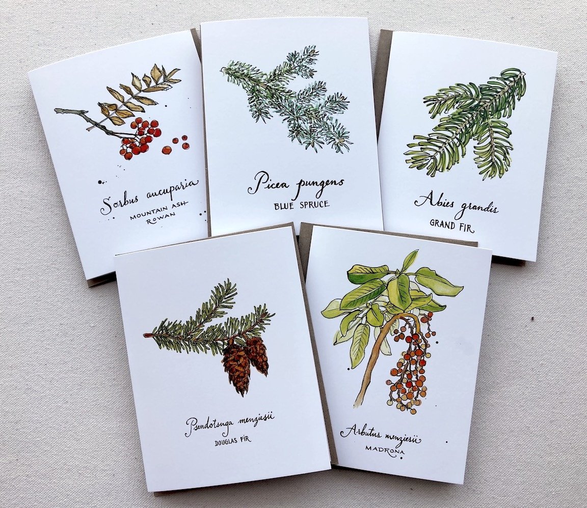 Notecard_box_PNWtrees_group2.jpeg