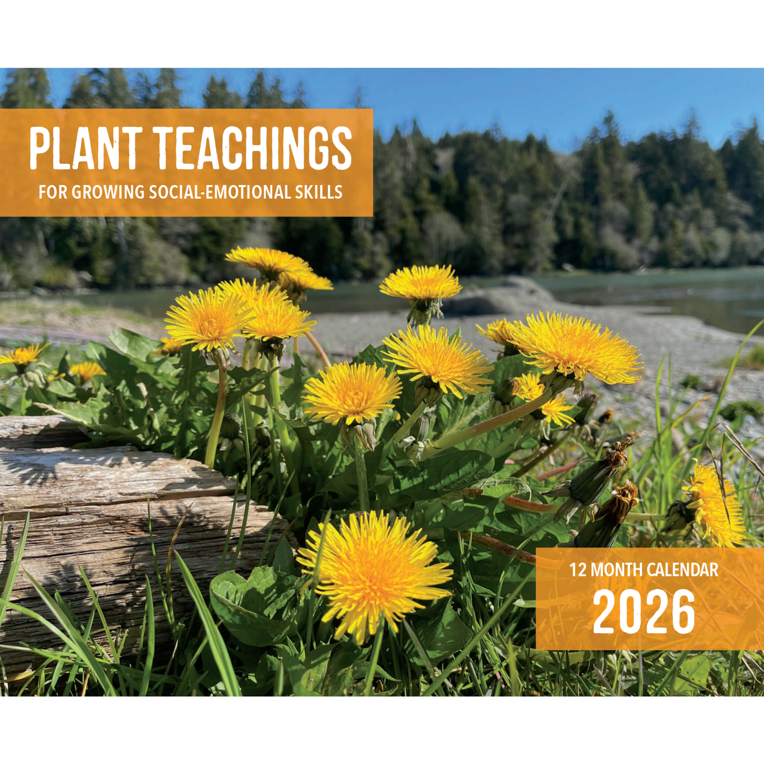 Calendar for 2026 - Plant Teachings for Growing Social-Emotional Skills