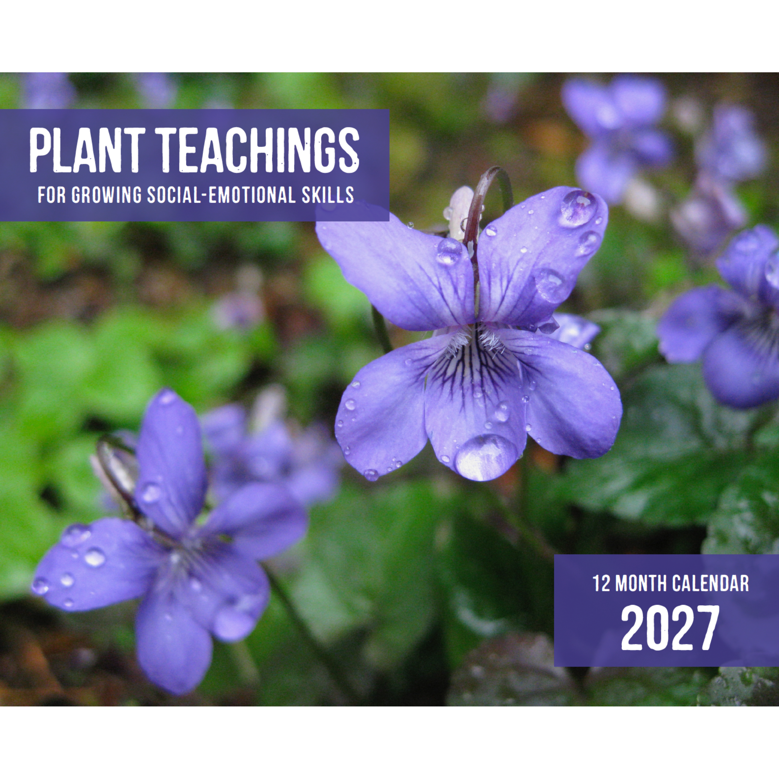 2027 Plant Teachings Calendar
