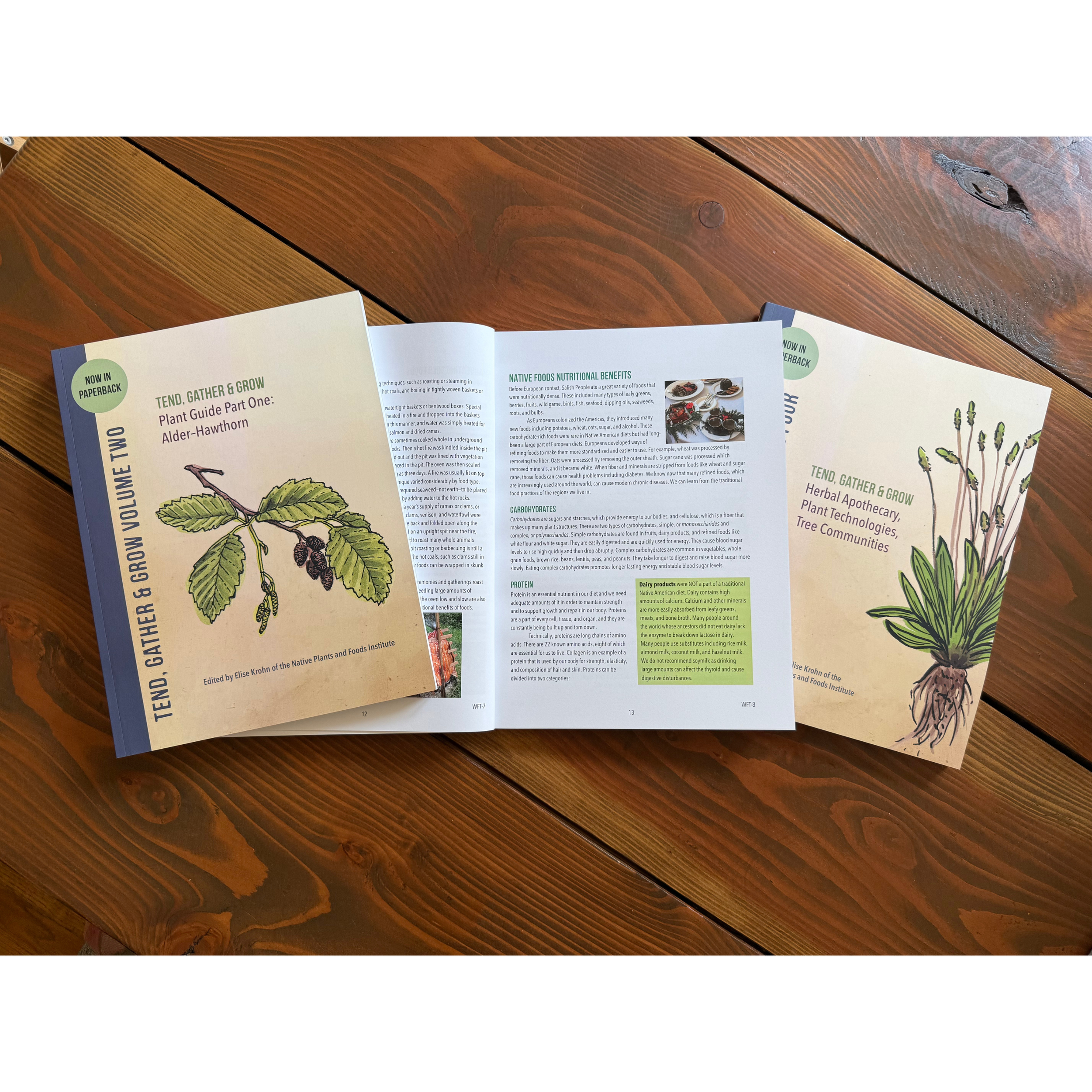 Tend Paperback Product Photo.png