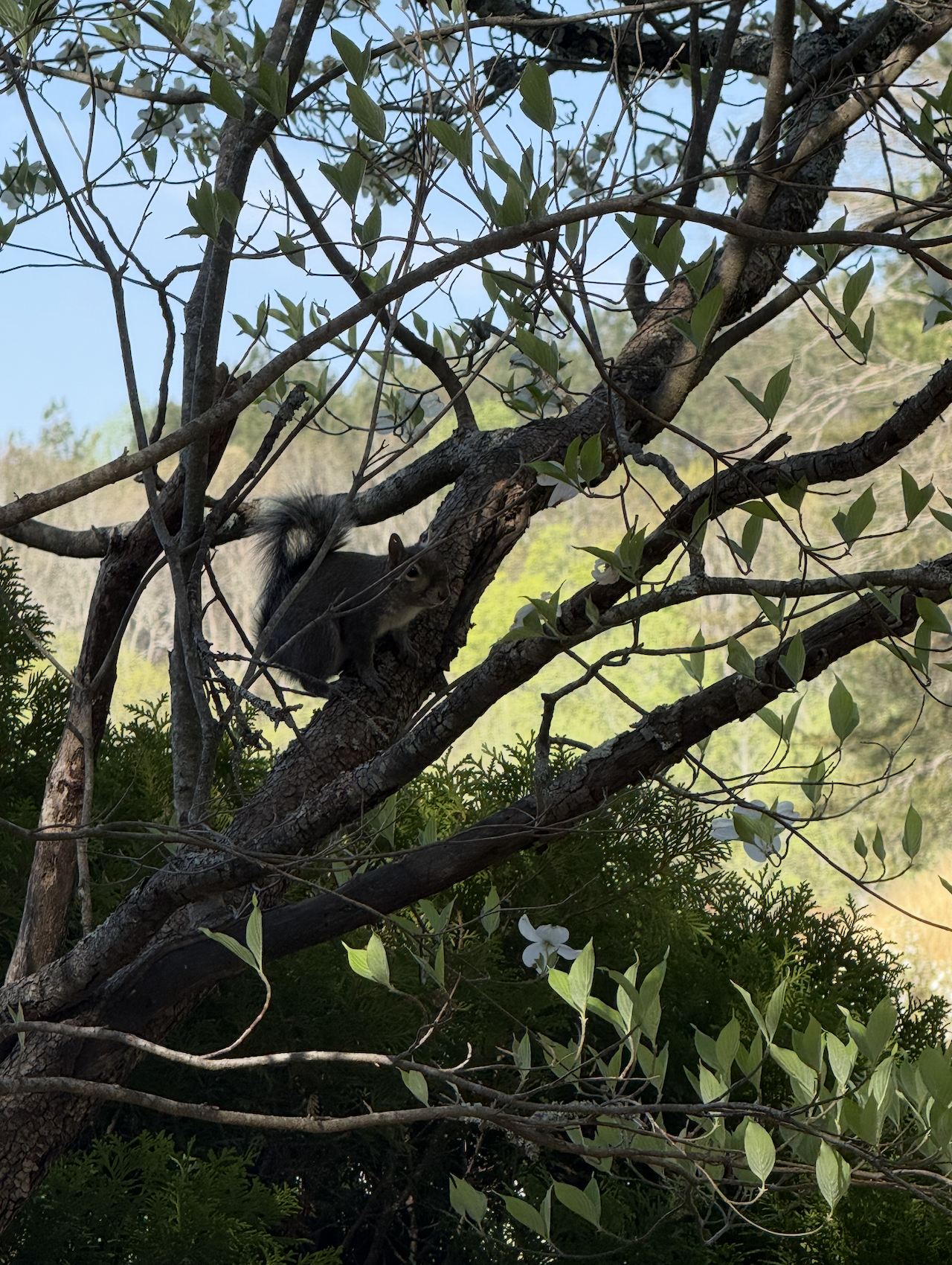 Screenshot 2026-04-21 at 4.01.39 PM.png