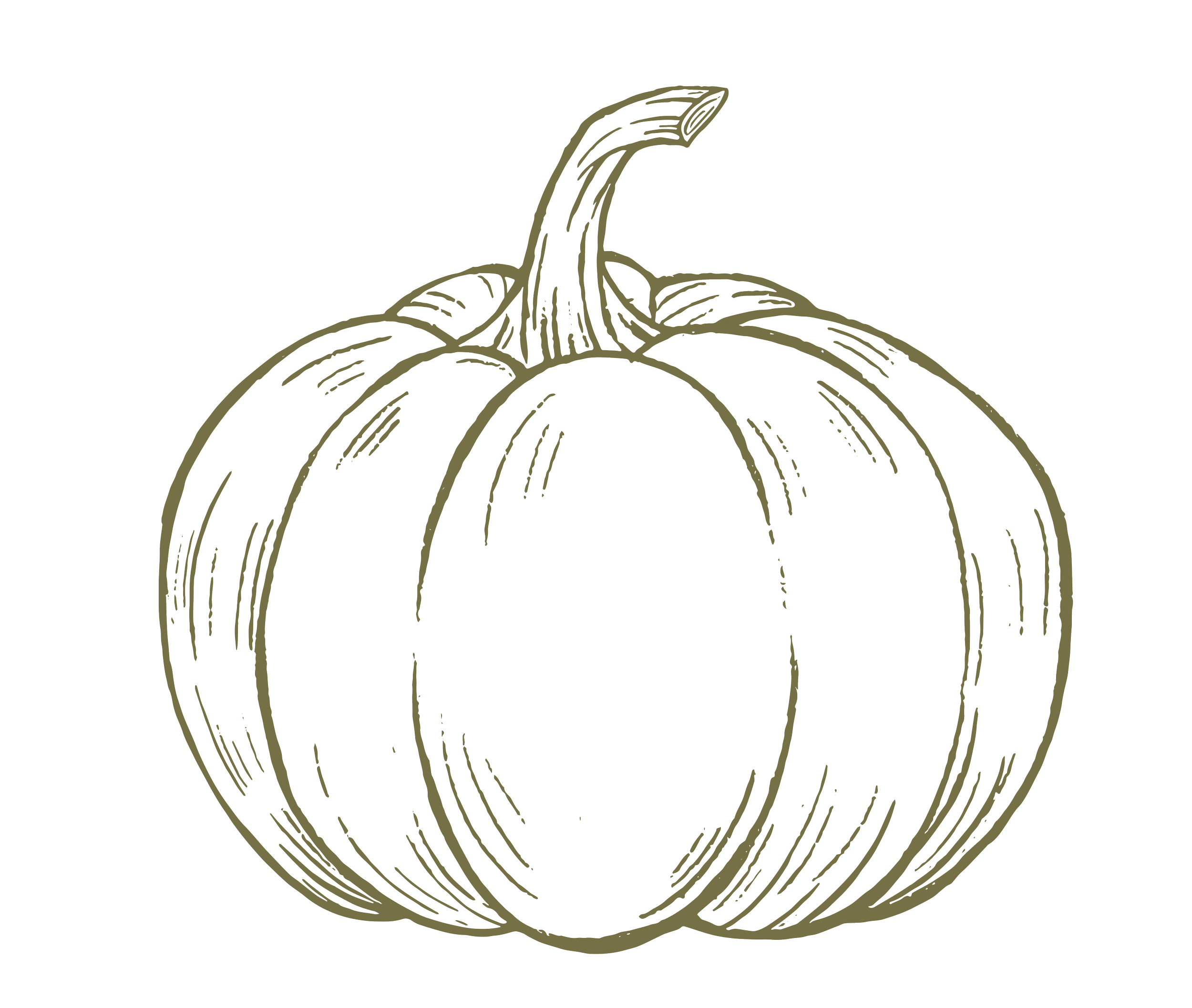 burt-s-pumpkin-farm-georgia