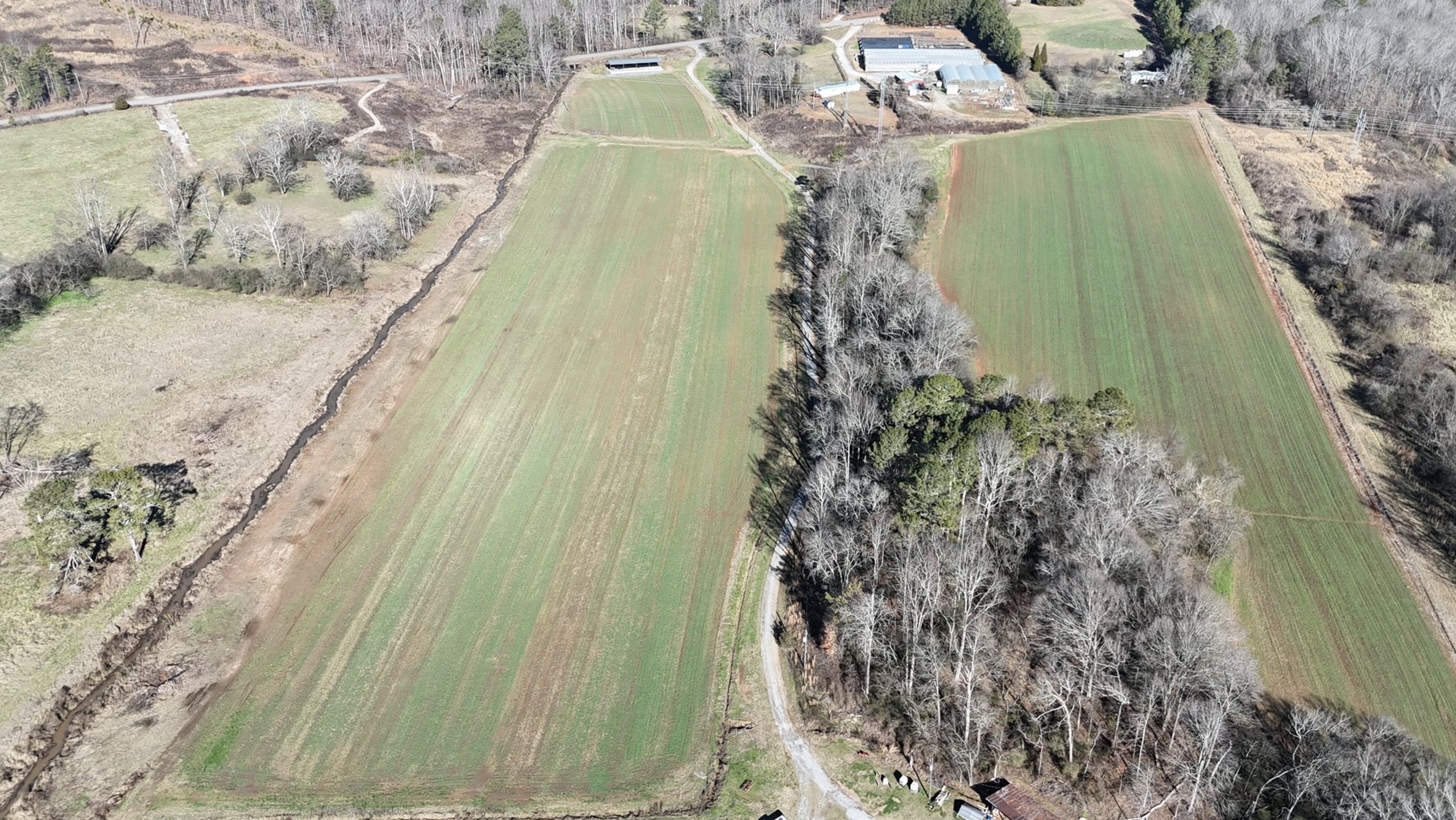 A Mid-January Update from the Farm ❄️🌱