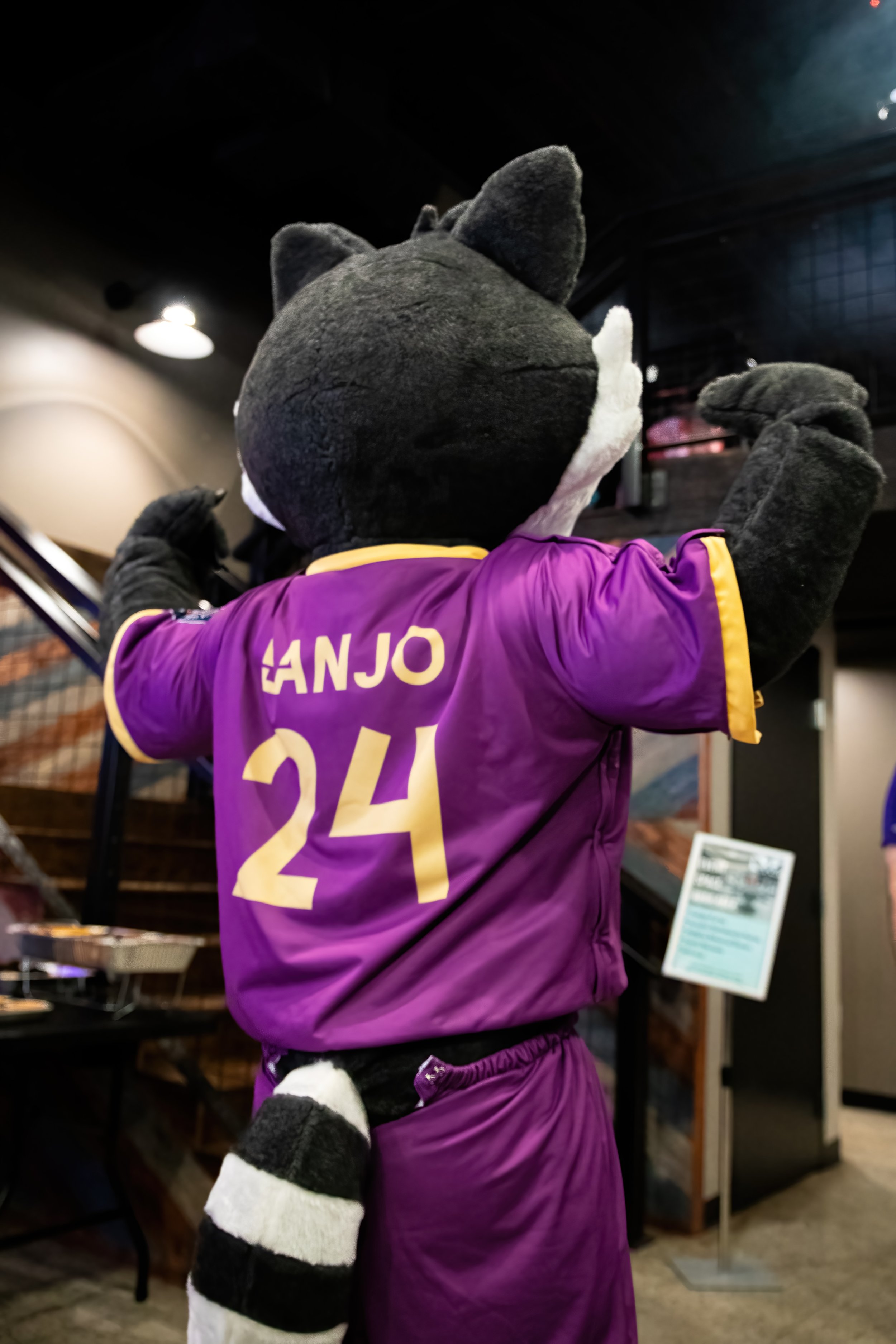 Bristol Rhythm Mascot Reveal-24.jpeg