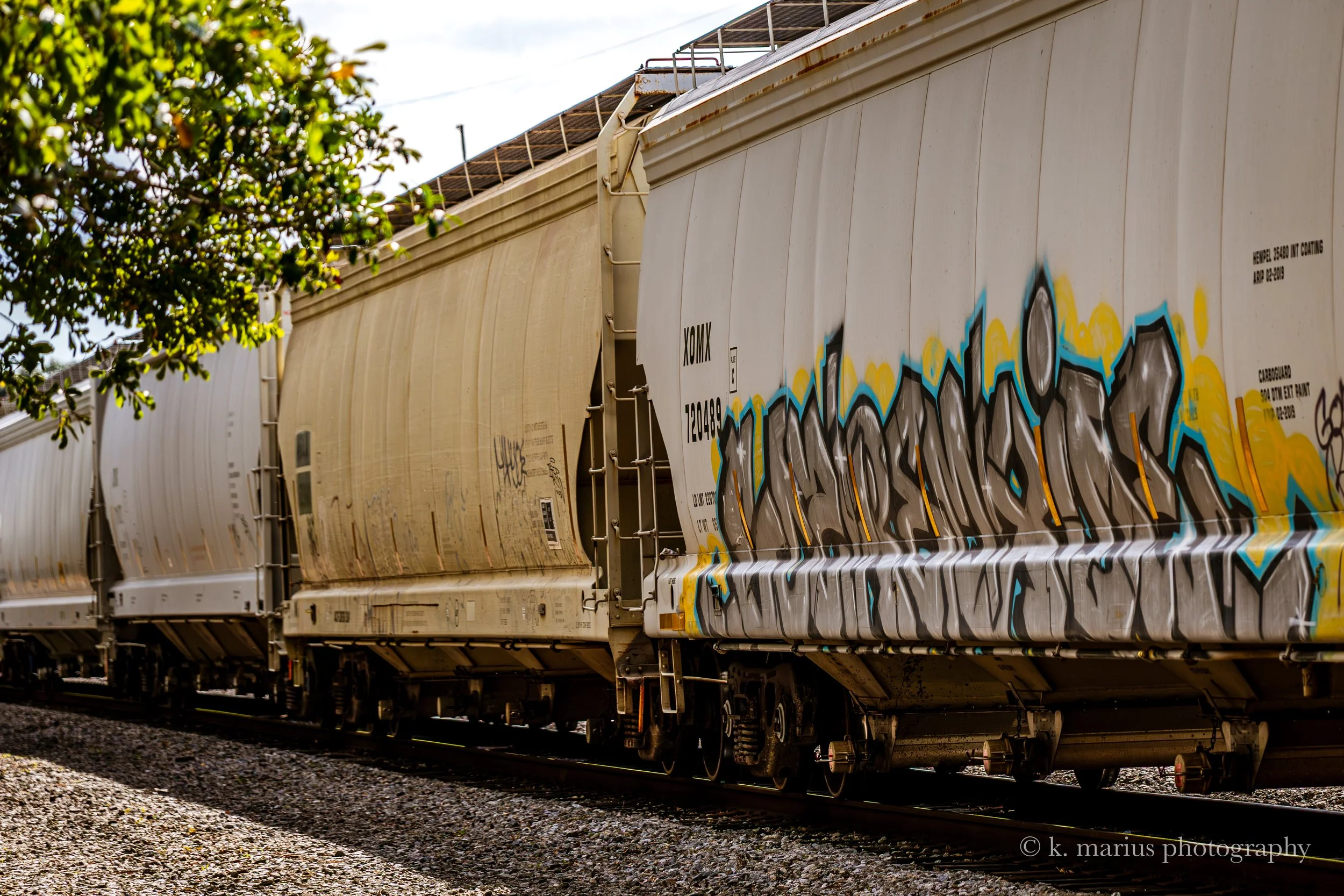 Train art 1, Audubon Park, New Orleans