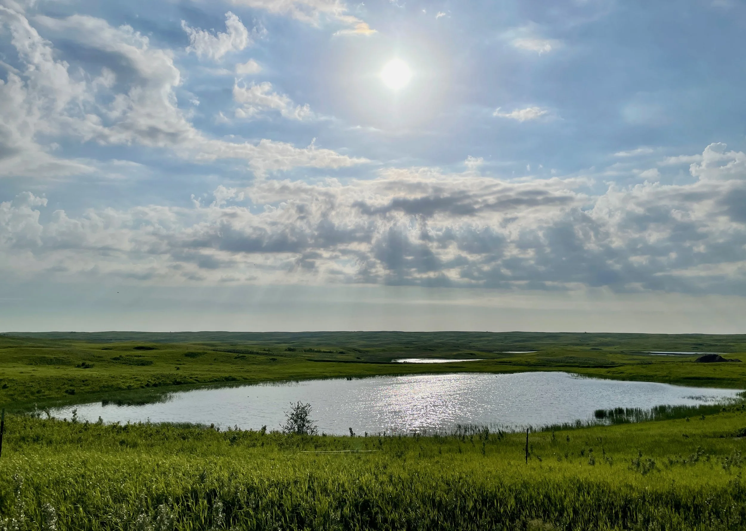 Potholes, Kenmare-Bowbells, ND, June 2022