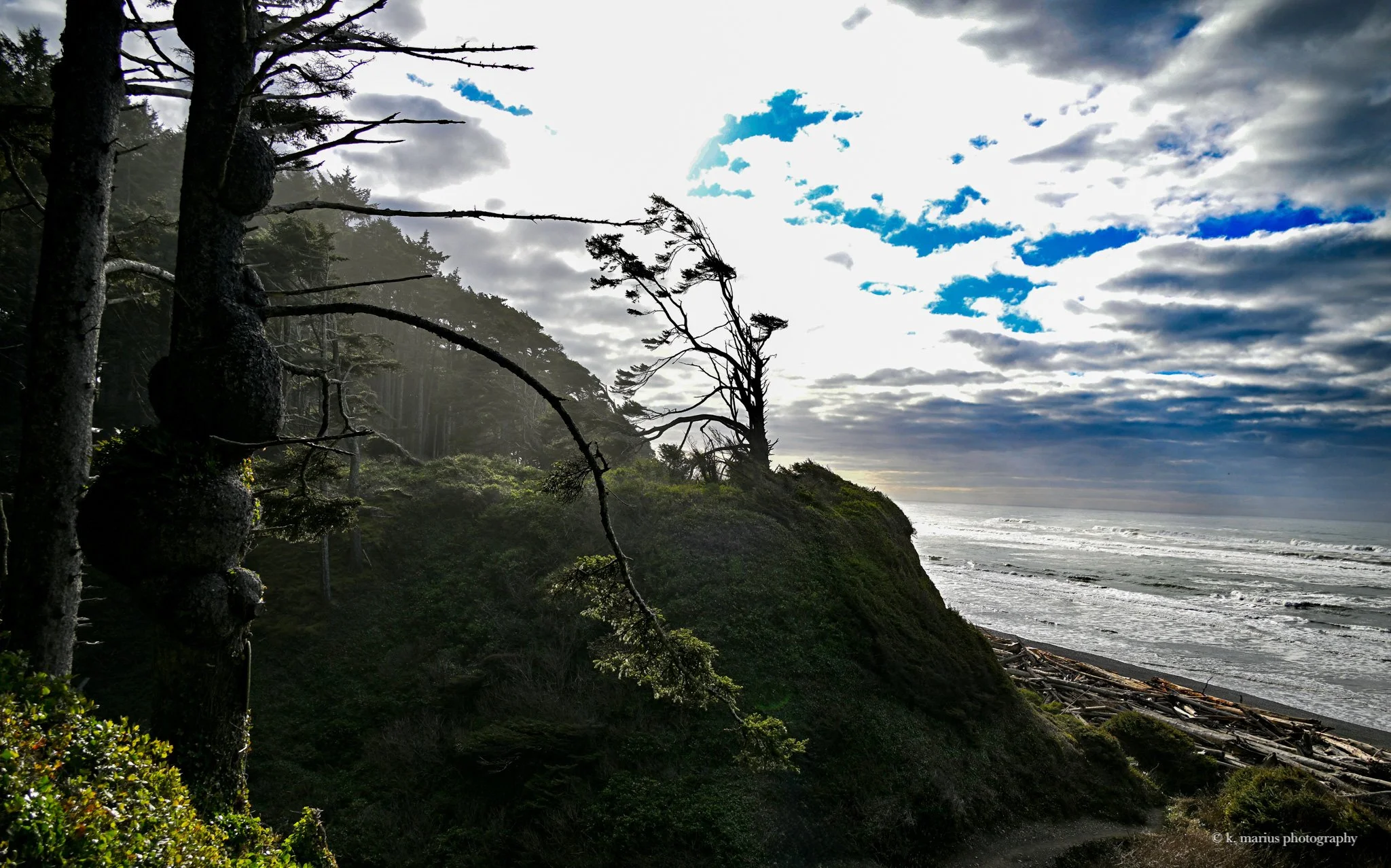 Pacific Ocean from the Spruce Burl Trail, Kalaloch