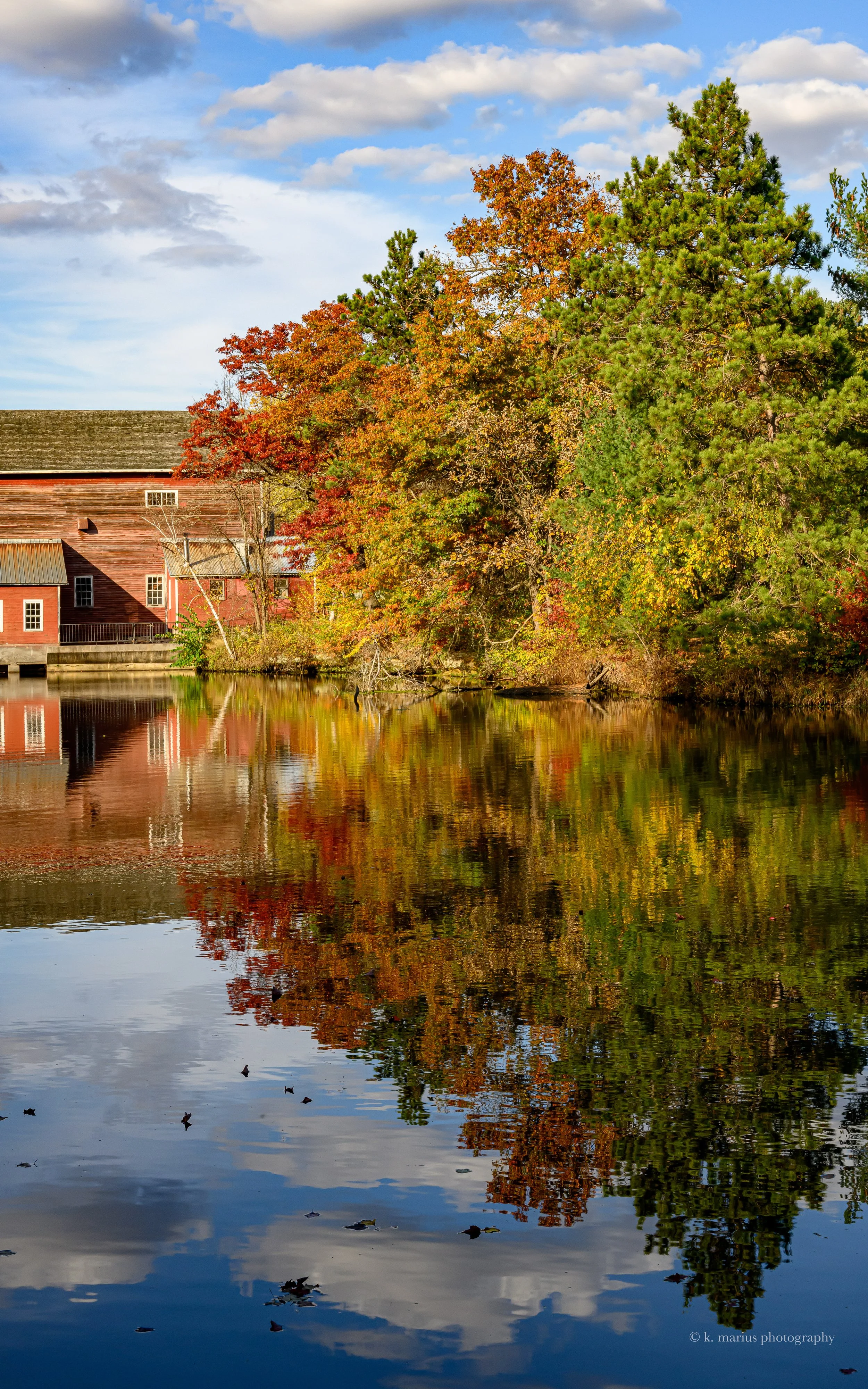 Behind Dells Mill, August, WI