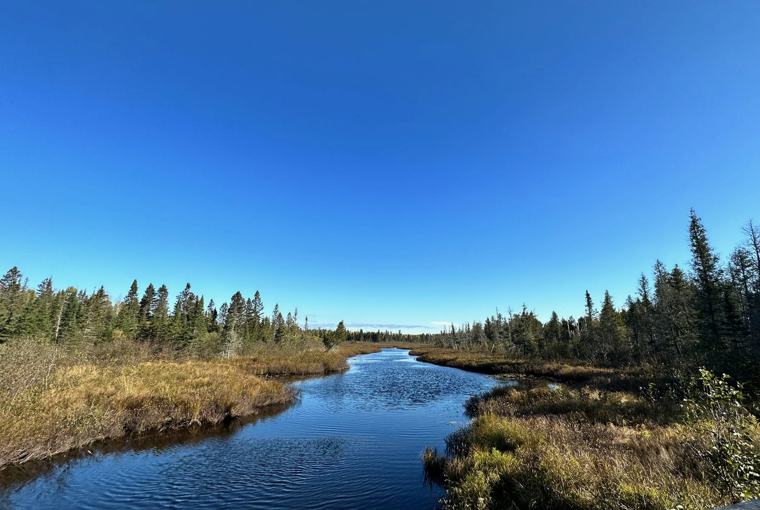 "Backwoods" - along ATV trail, Finland, MN