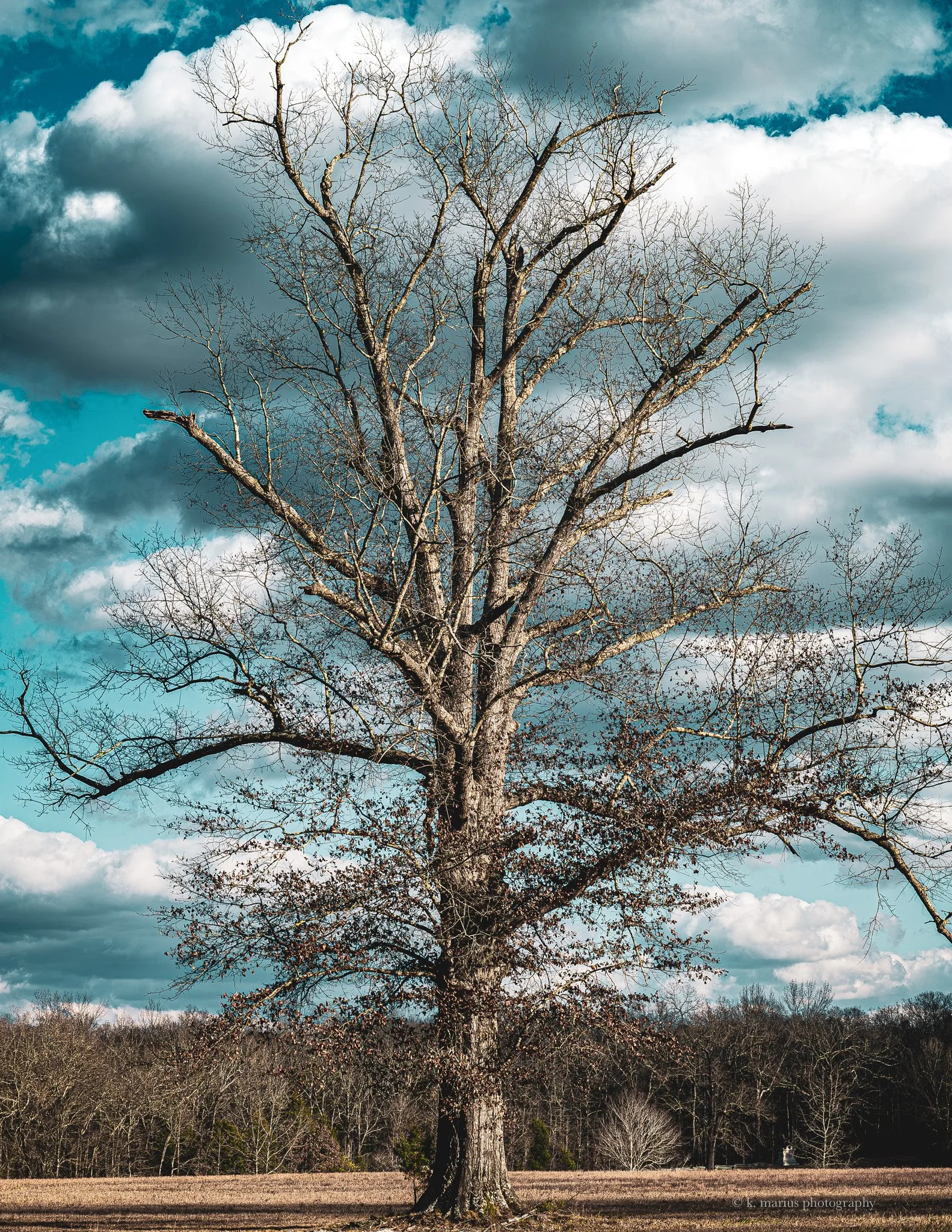 Duncan field, Shiloh National Military Park, TN