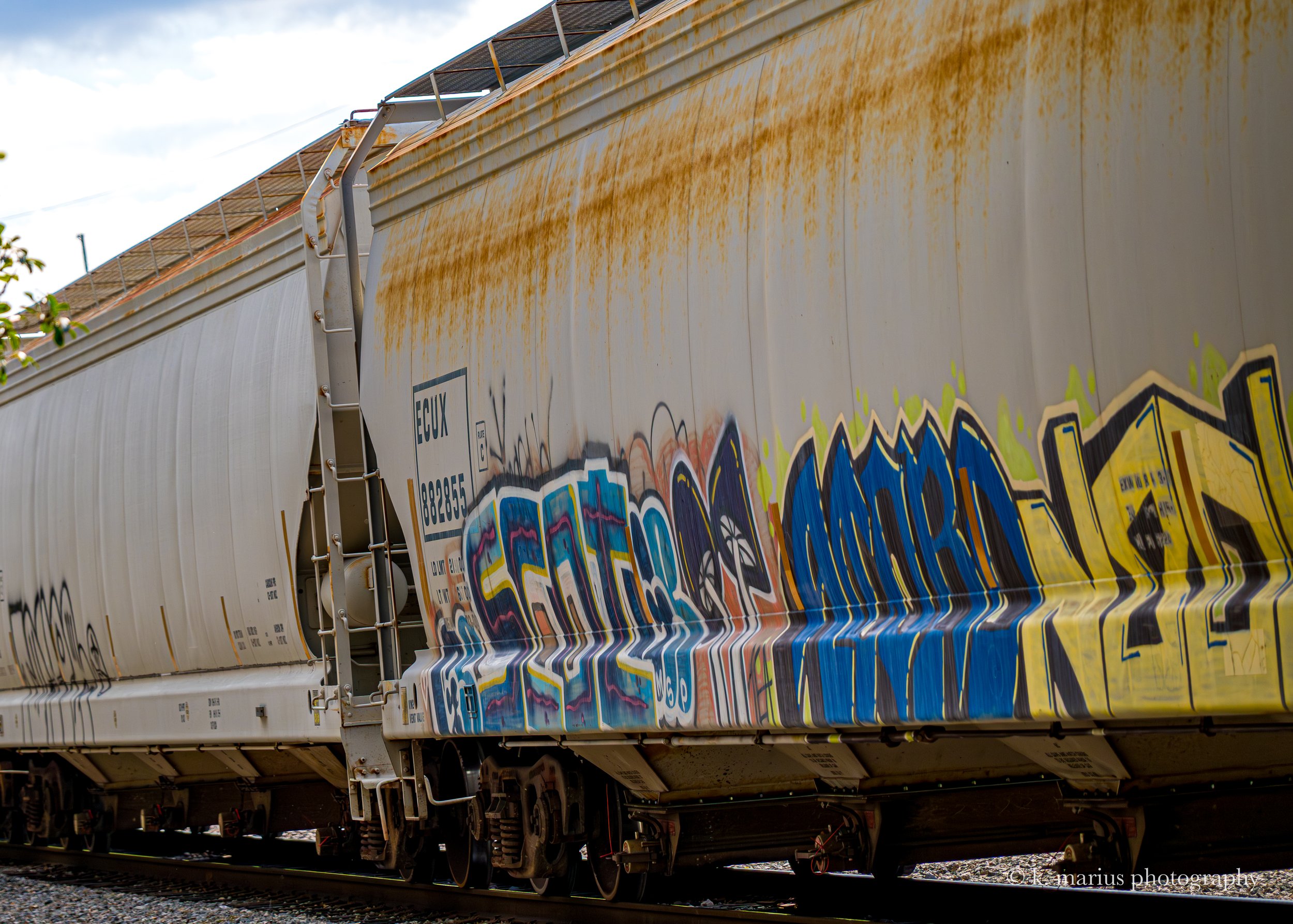 Train art 3, Audubon Park, New Orleans