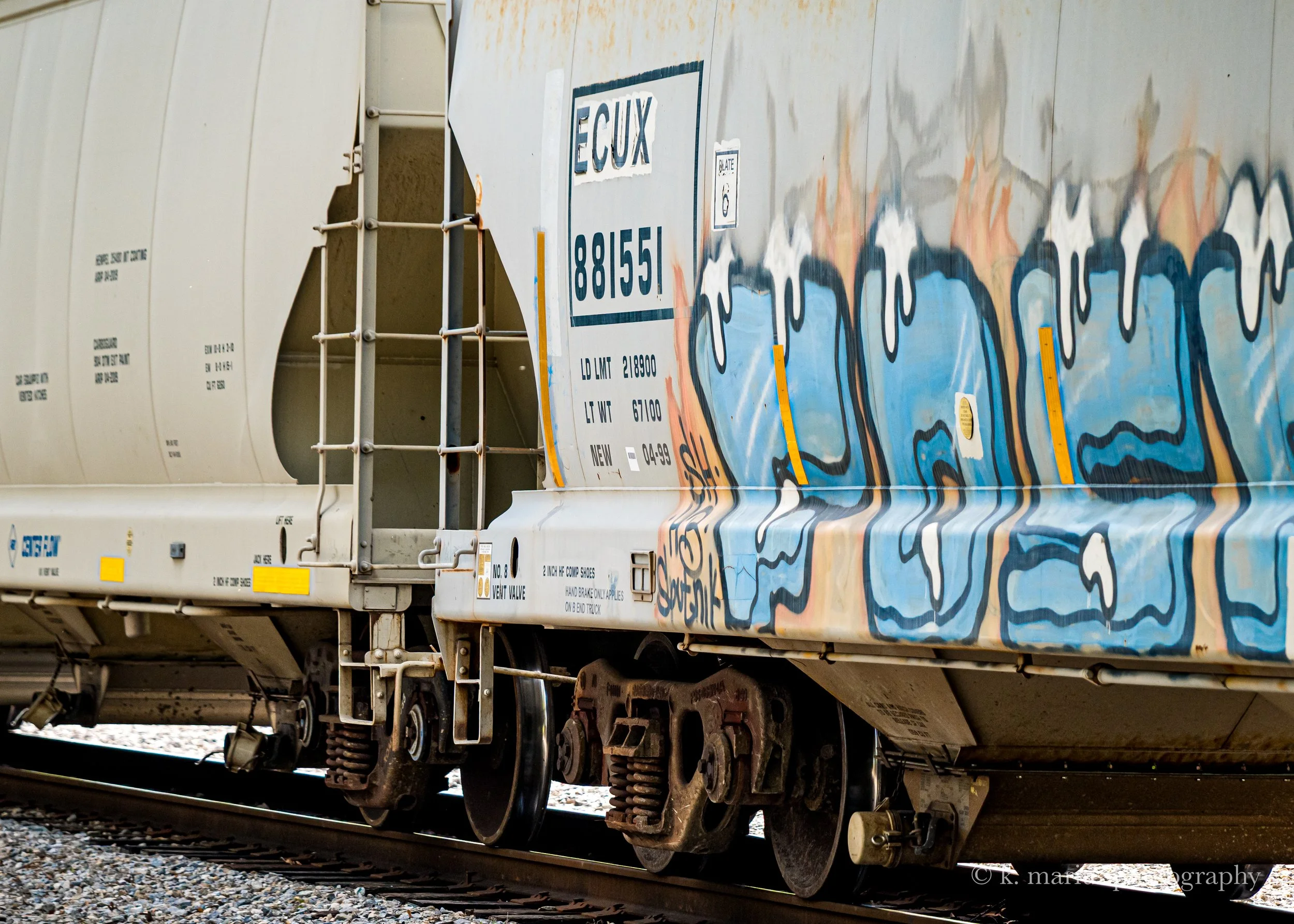 Train art 2, Audubon Park, New Orleans