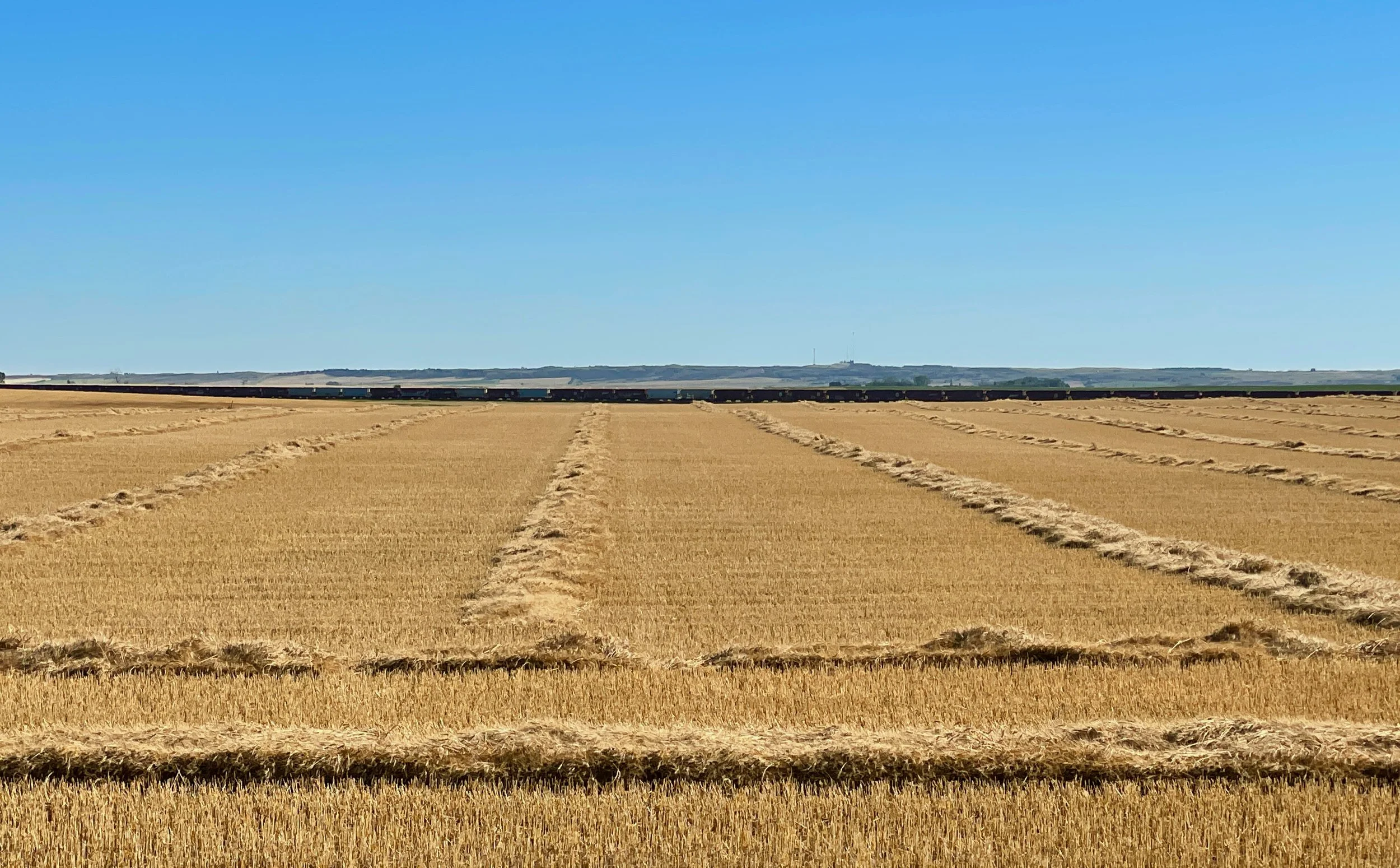 Straw to be baled, train, and foothills,
Bowbells, ND, September 2022