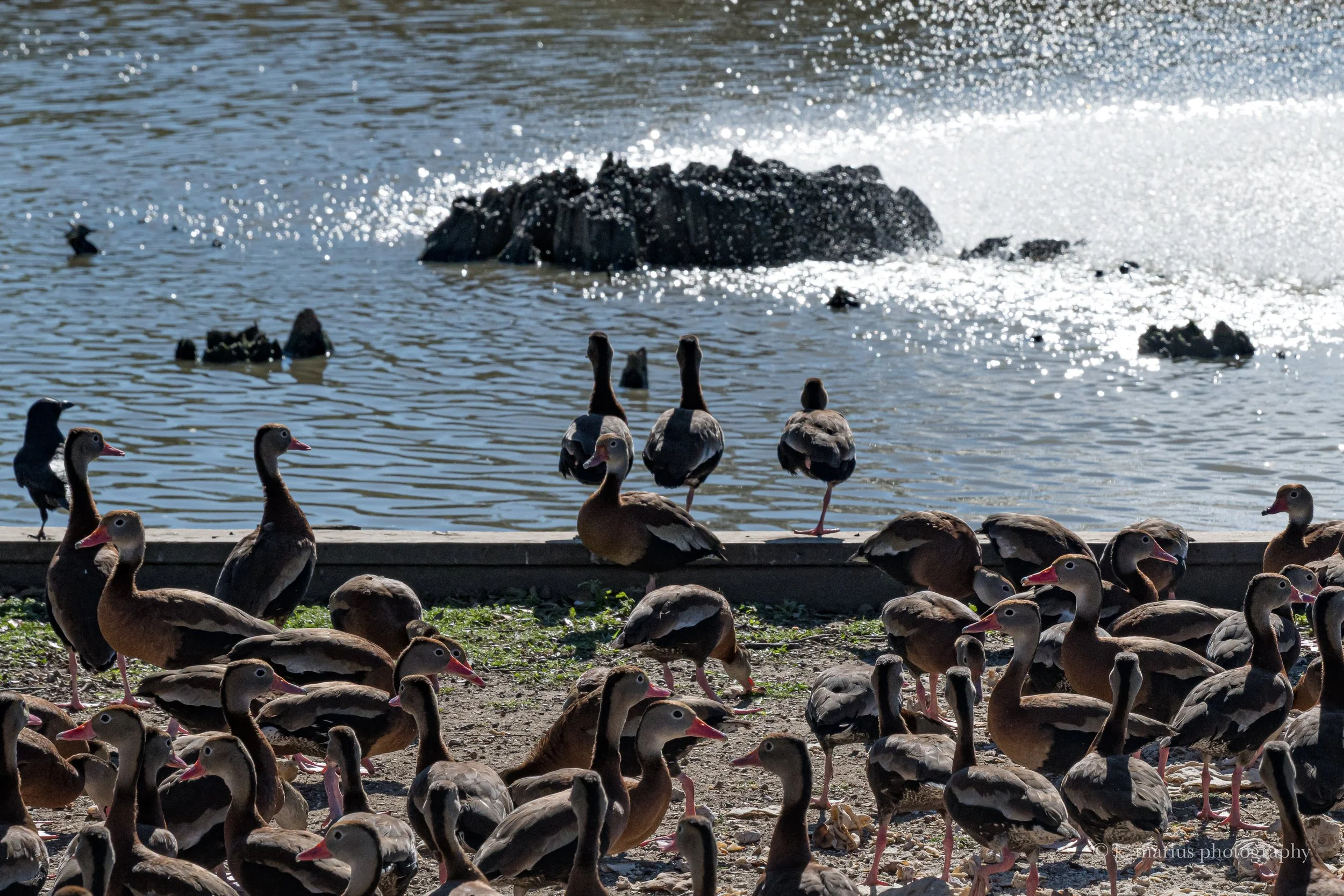 "3 ladies leaning," Sidney D Torres Memorial Park, Chalmette