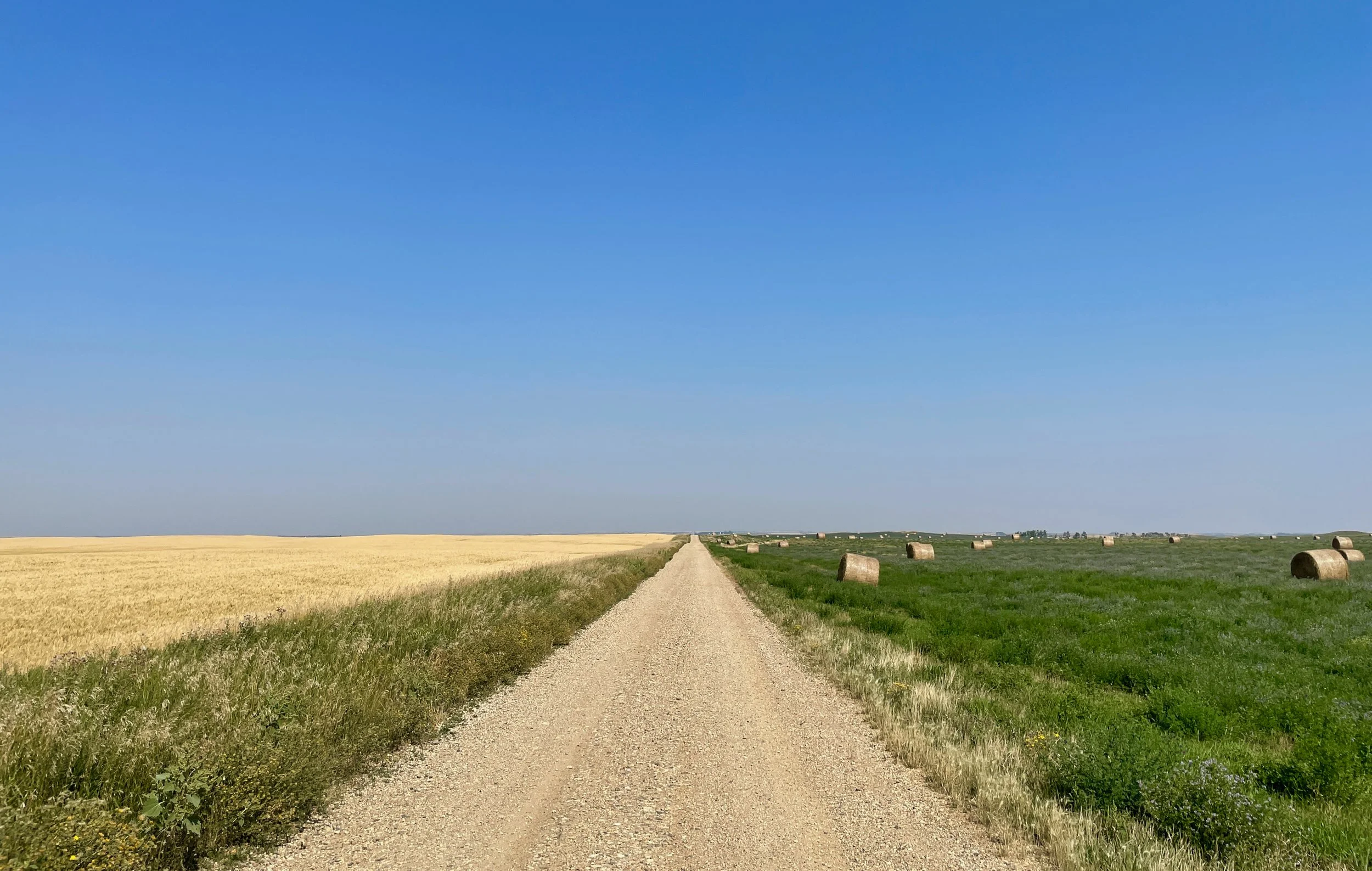 Yellow and green, Hamlet, ND, September 2022
