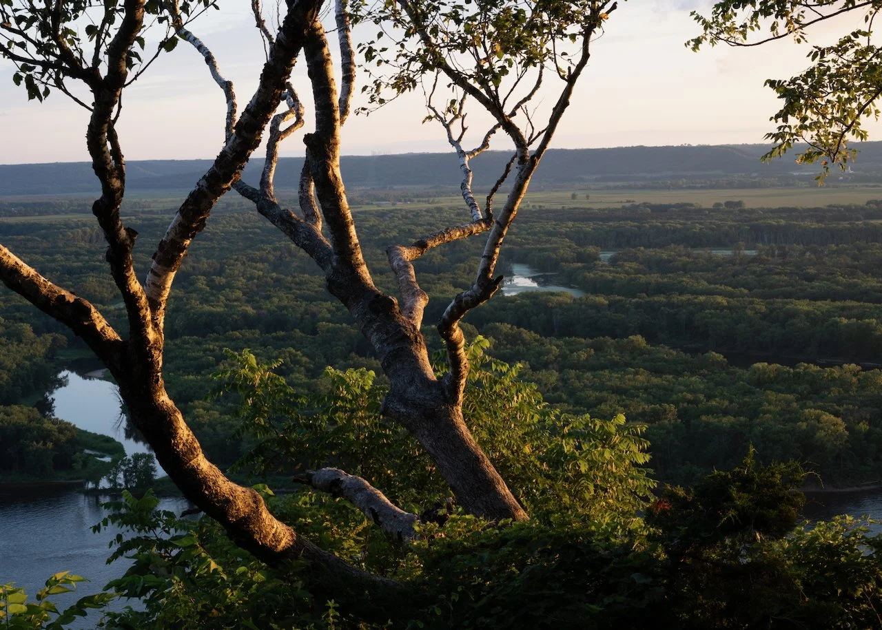 Golden hour, Mississippi River valley, from Buena Vista Park
Alma, WI