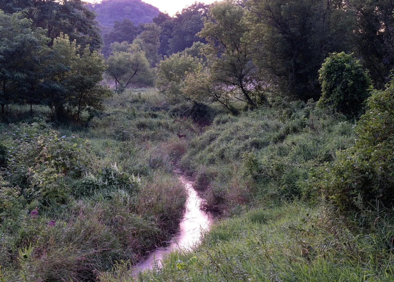 Creek at dusk, Alma, WI