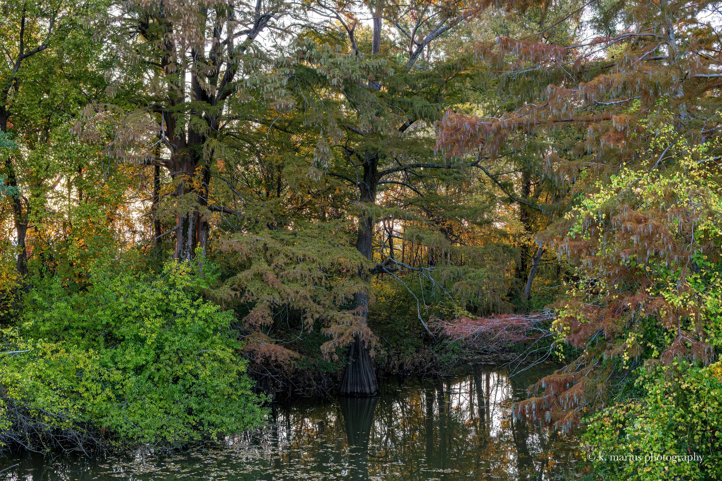 Deer Creek, from US Hwy 61 (Blues Highway), Hollandale