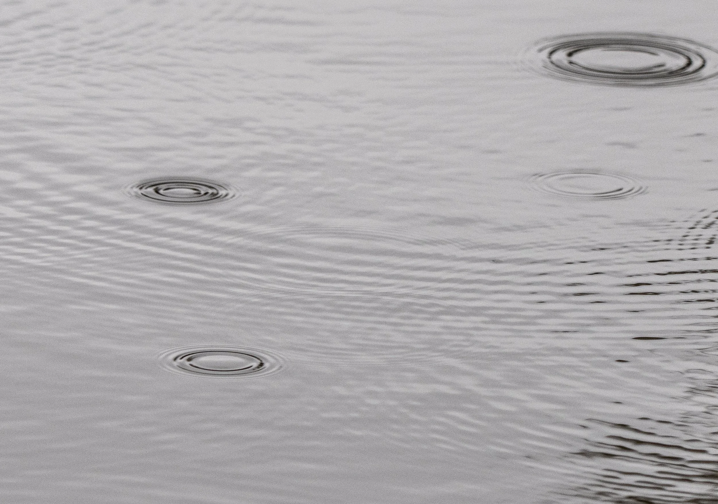 Raindrops on lake Eau Galle,
Eau Galle, WI