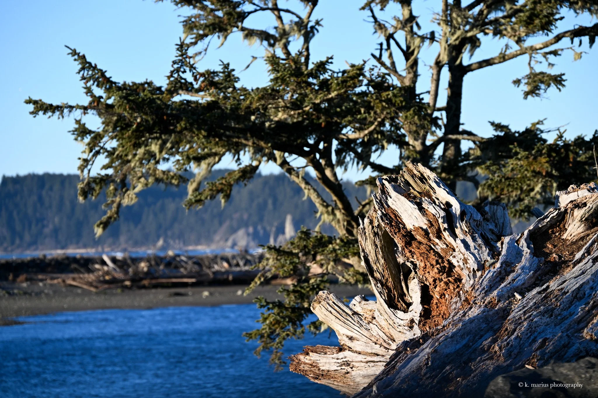 North from La Push (narrow)