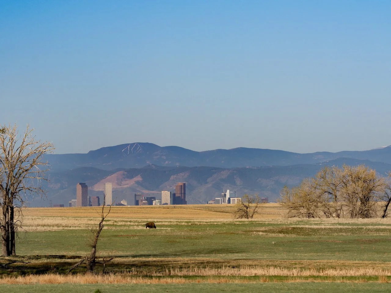 Rocky Mountains behind Denver, CO,
Rocky Mountain Arsenal National Wildlife Refuge