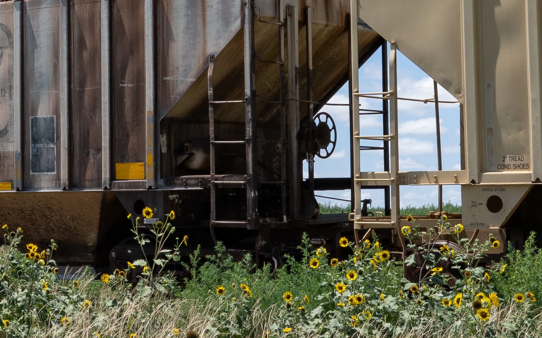 Collecting dust 3 (railroad garden), western KS