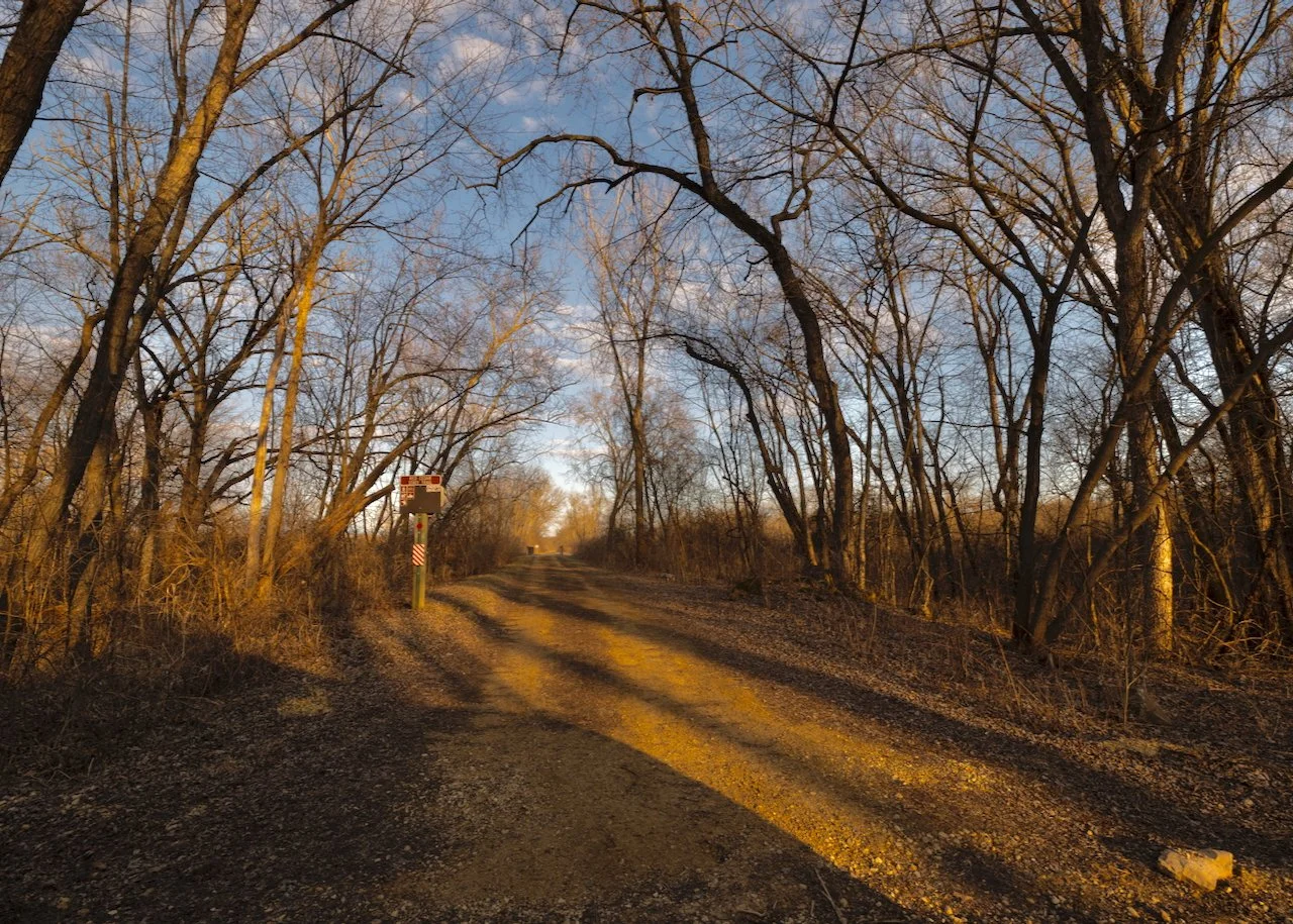 Evening on the Red Cedar State Trail, Downsville, WI