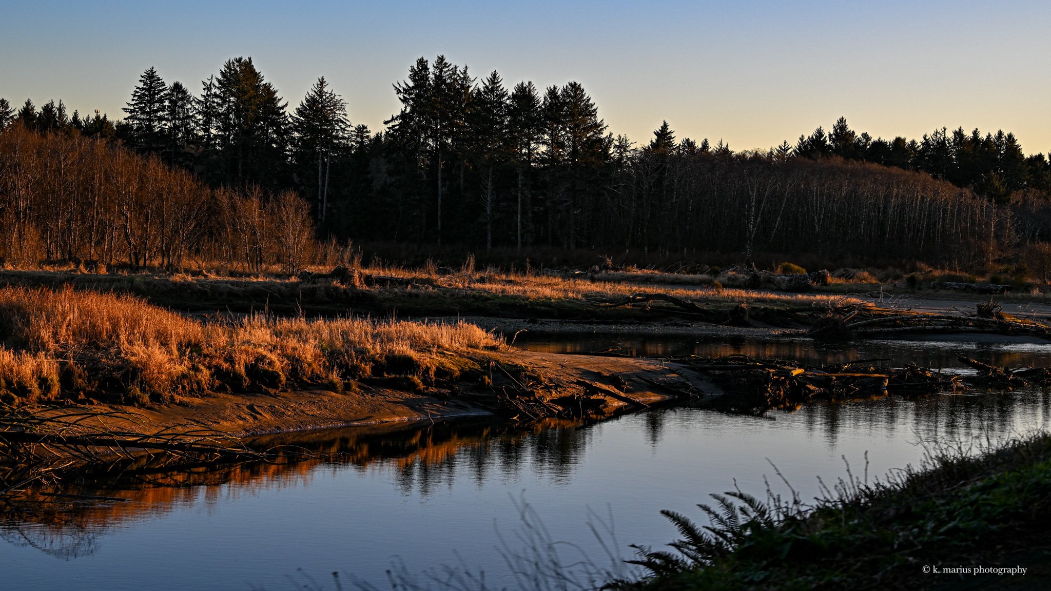 Quillayute River nearing Rialto Beach 2