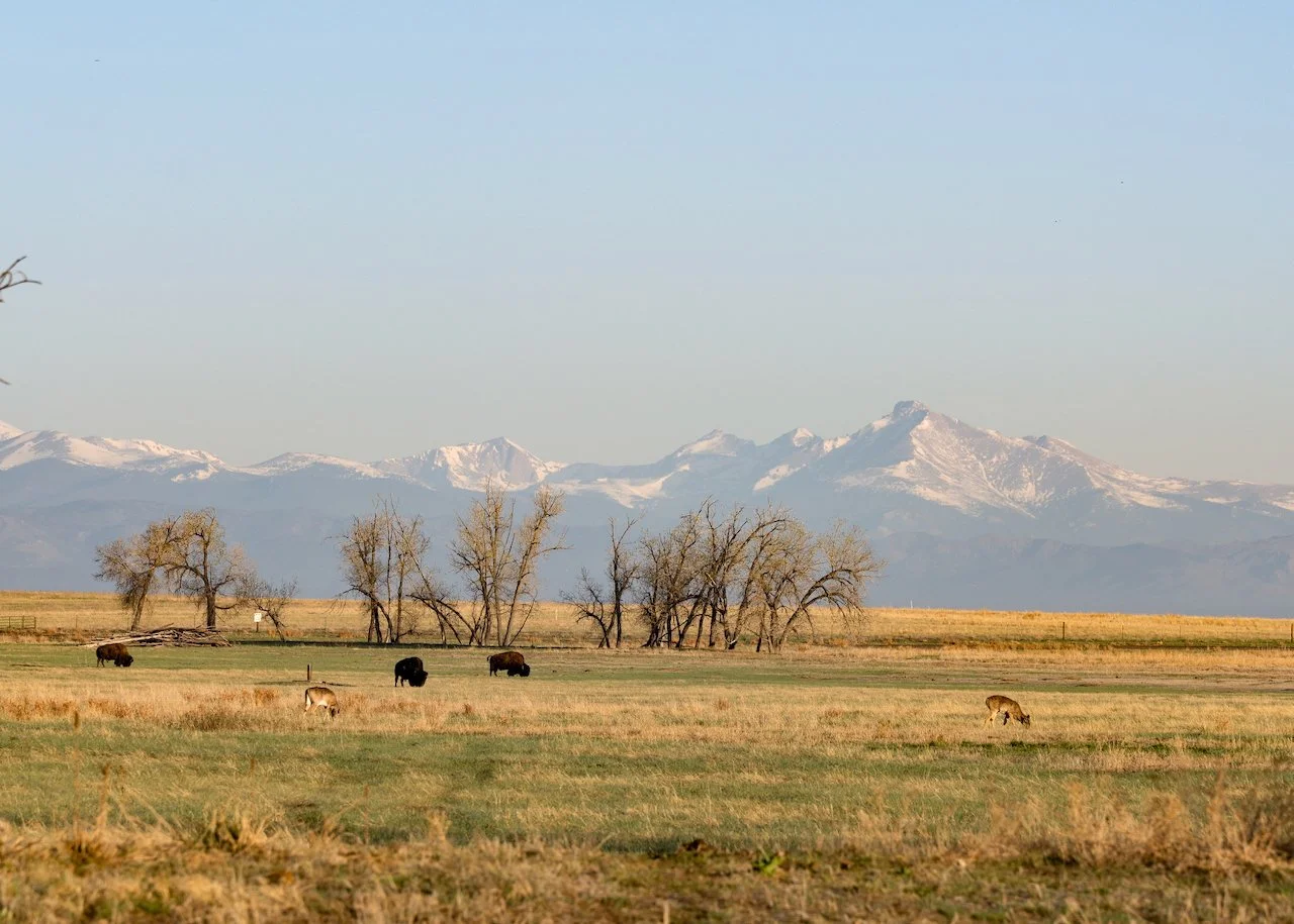 Rocky Mountain Arsenal National Wildlife Refuge, Denver, CO