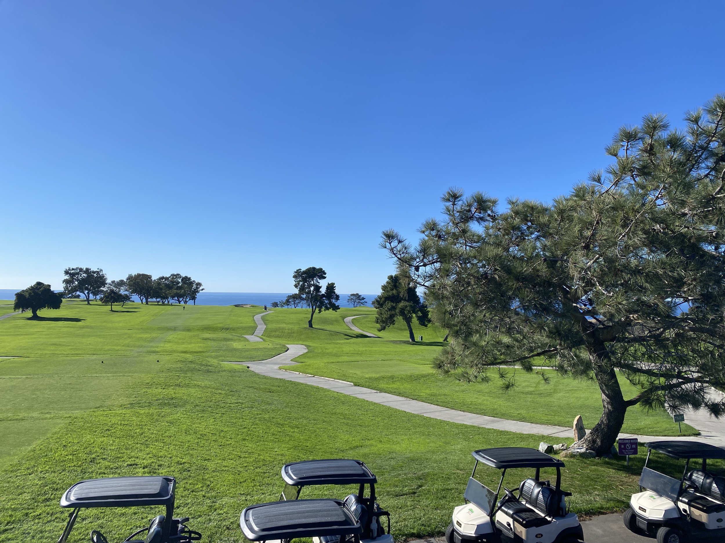 Torrey Pines