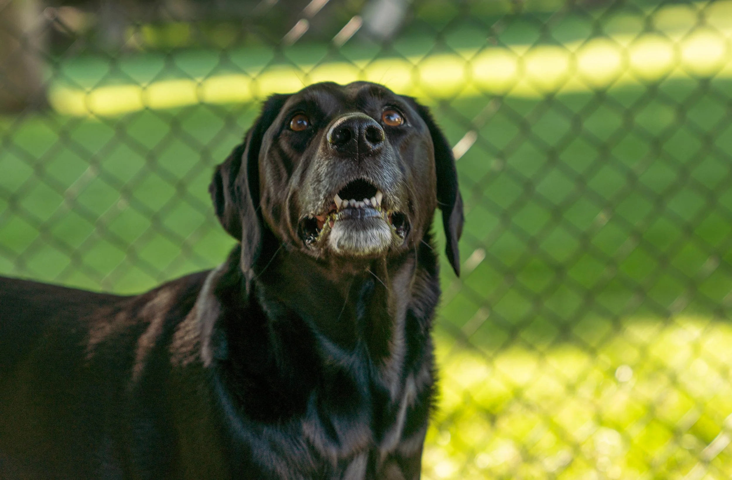 July 22nd 2022 (26 of 32).jpg