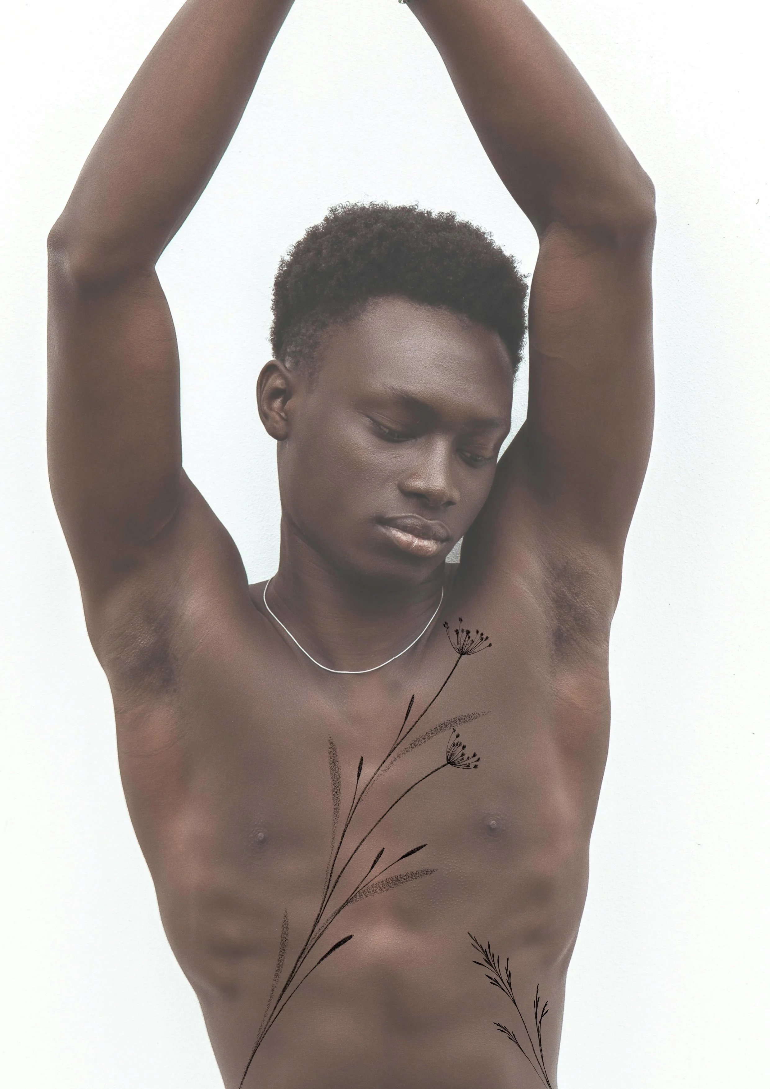 Untitled_Artwork 105.jpg