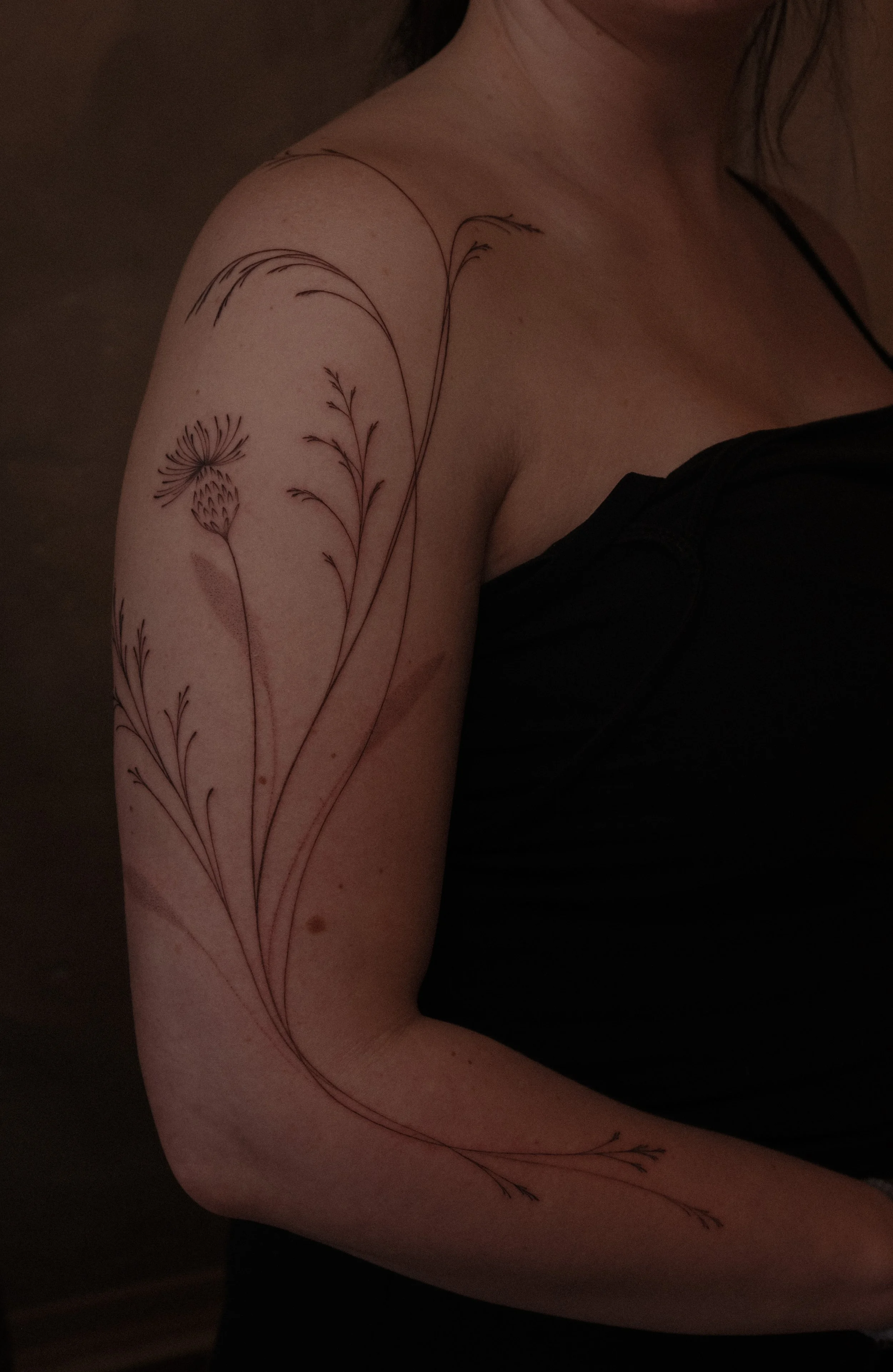 DSCF9208.JPG