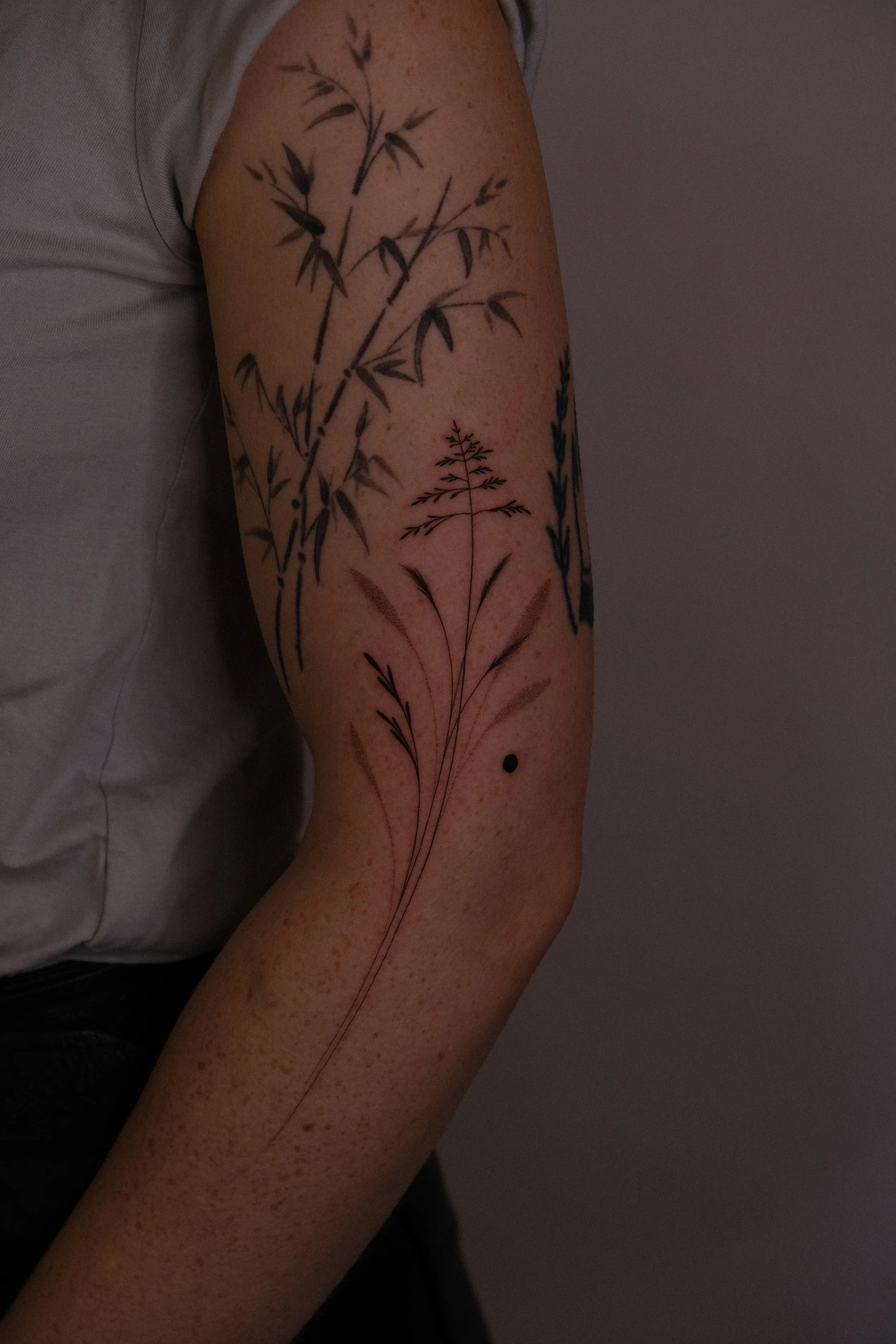 DSCF8639.JPG
