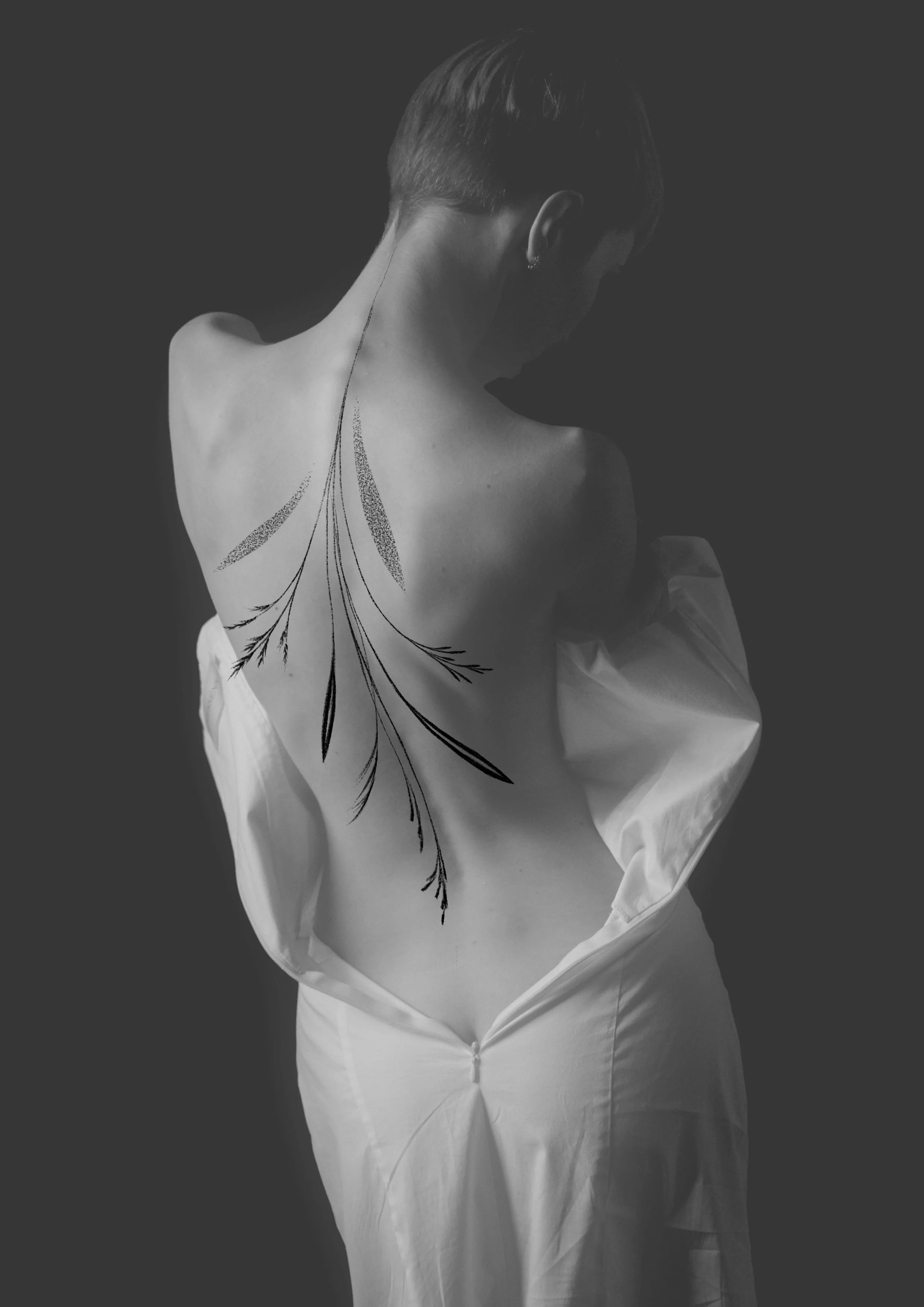 Untitled_Artwork 179.jpg