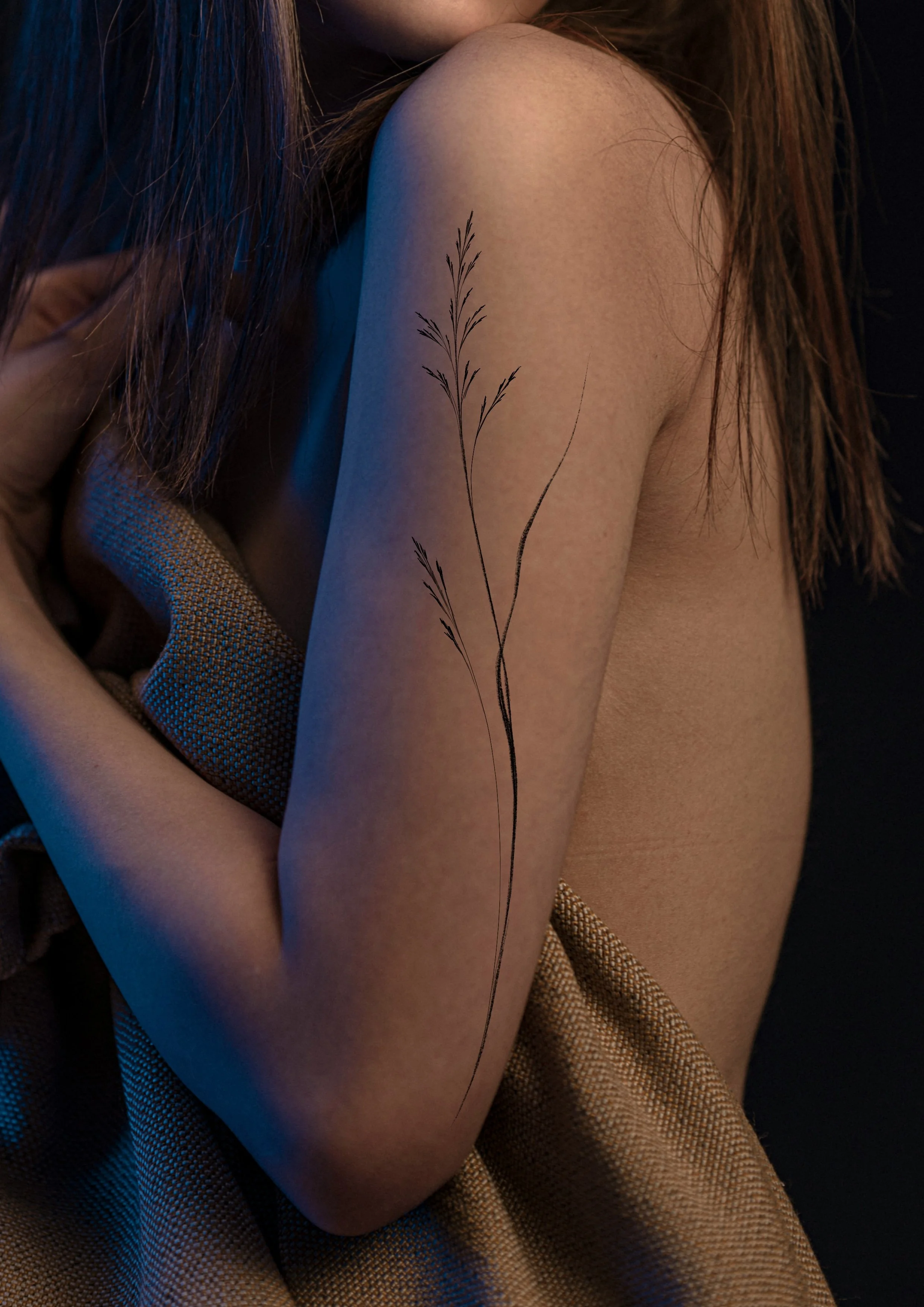 Untitled_Artwork 113.jpg