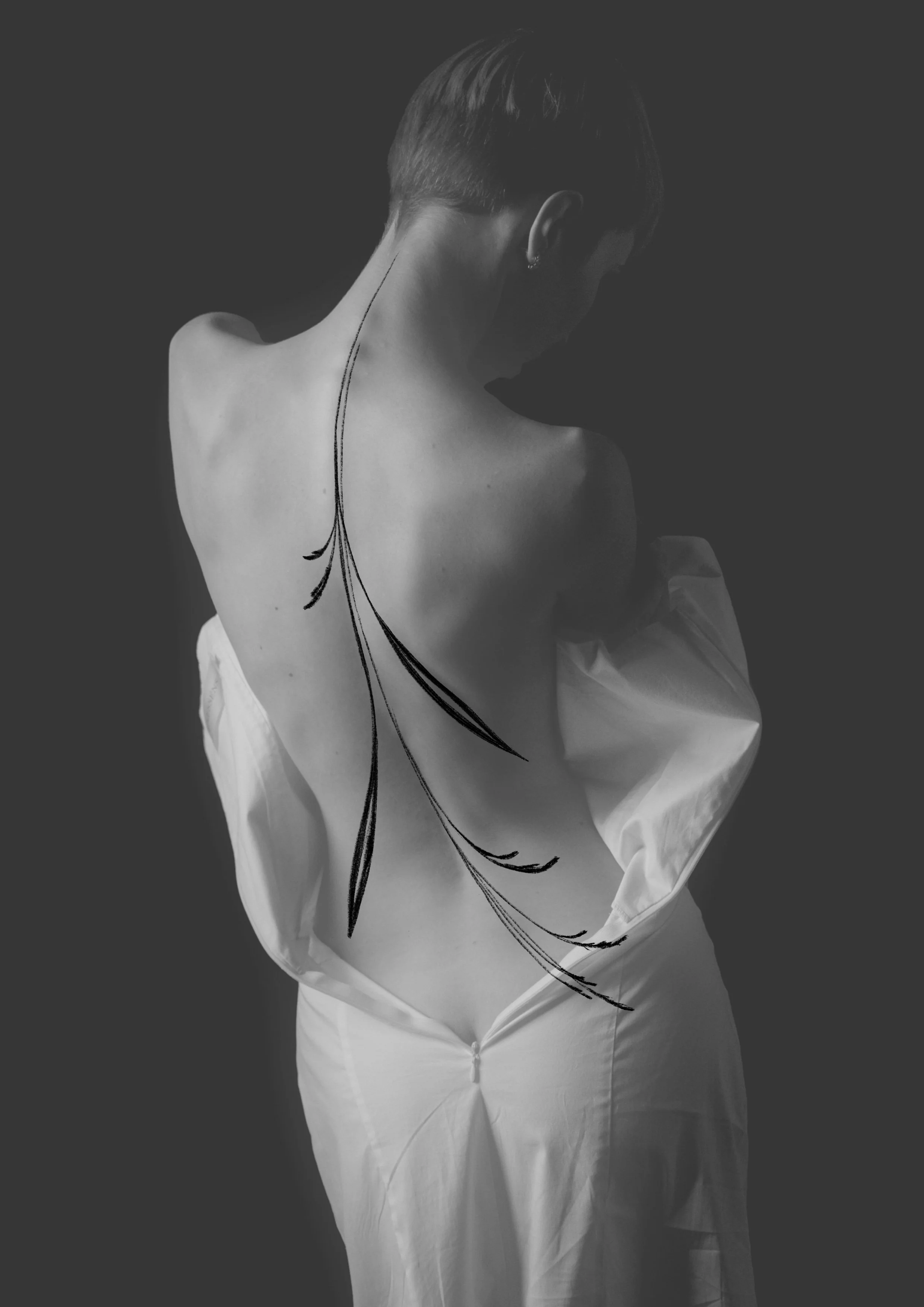 Untitled_Artwork 115.jpg