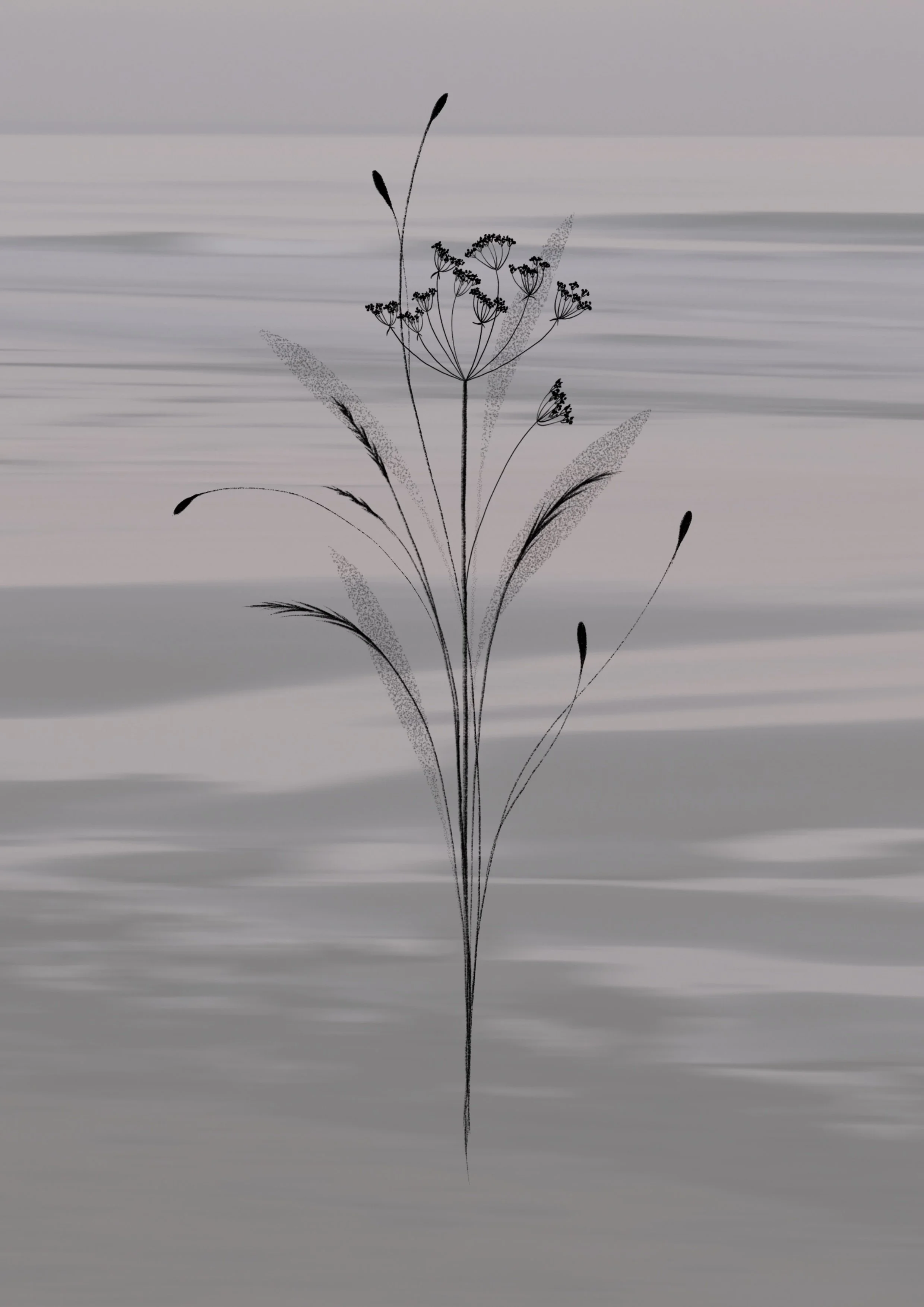 Untitled_Artwork 164.jpg