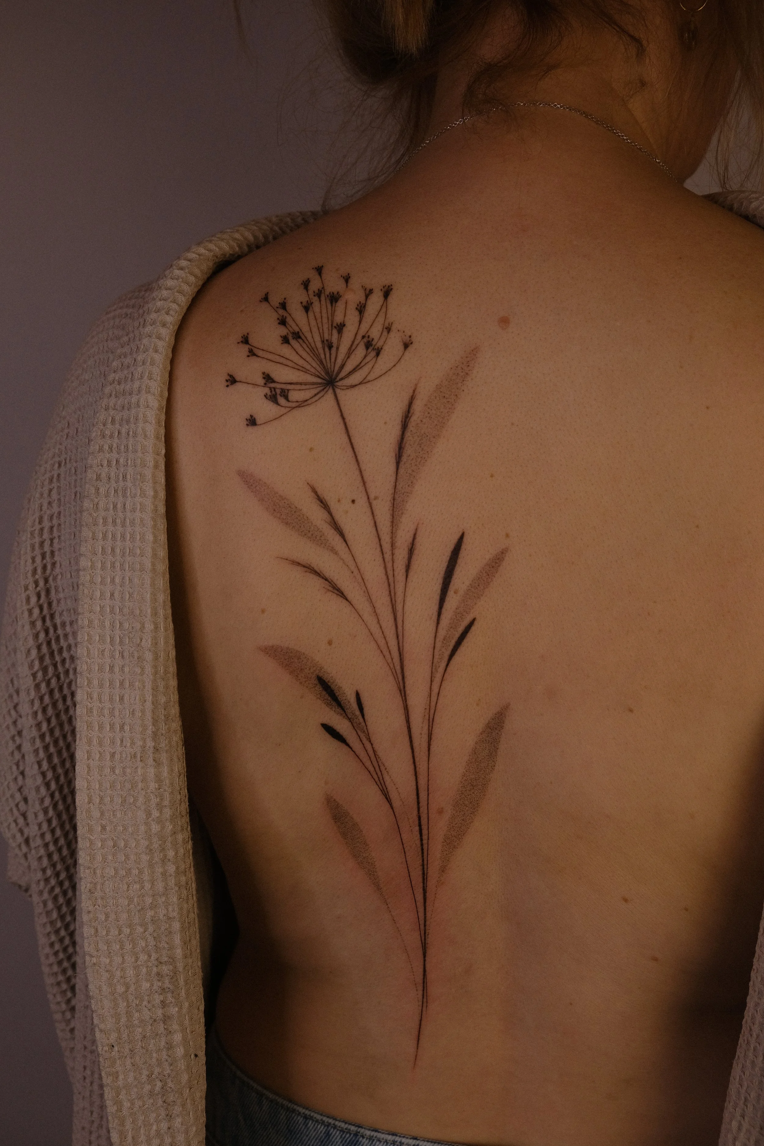 DSCF9092.JPG