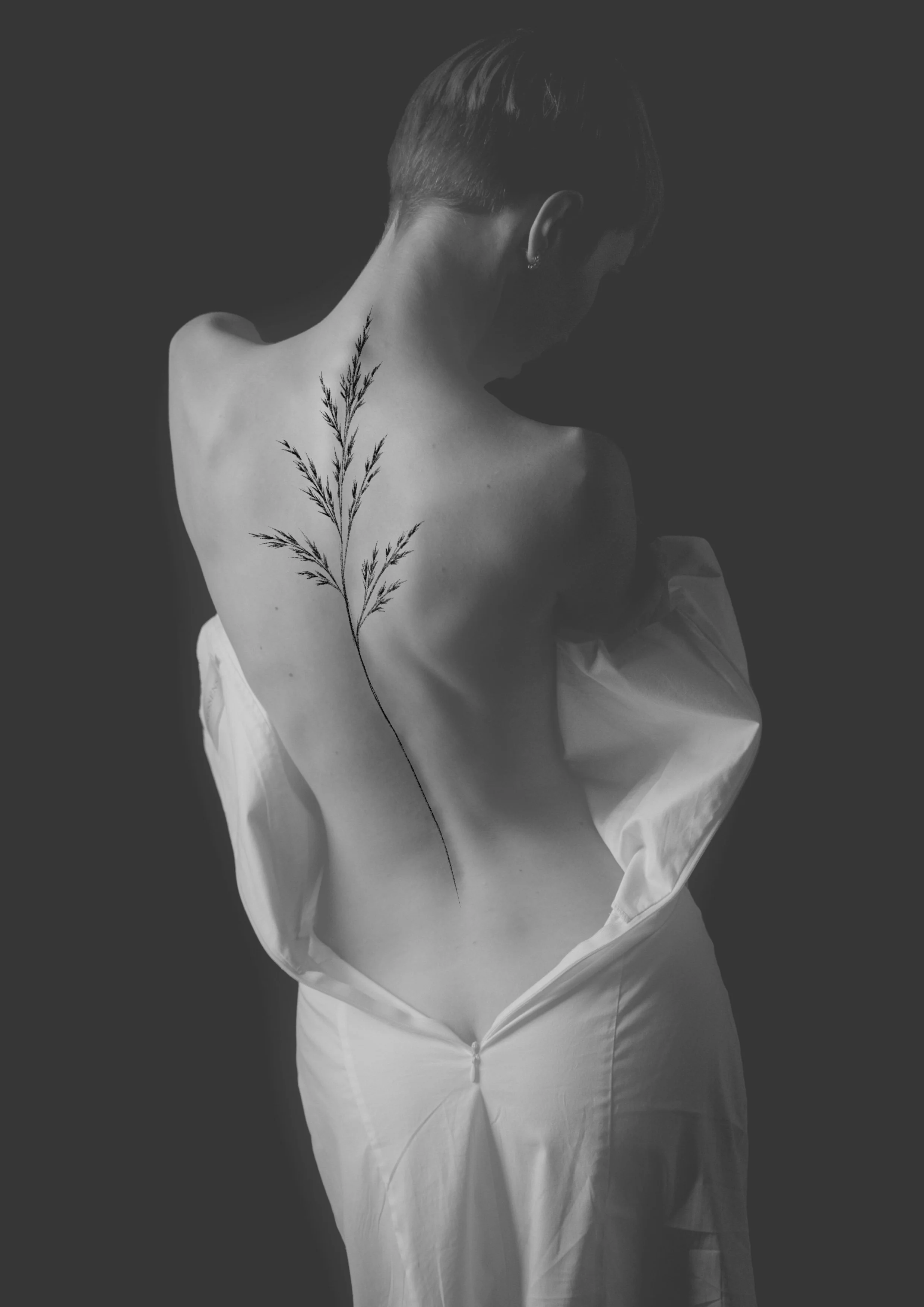 Untitled_Artwork 133.jpg