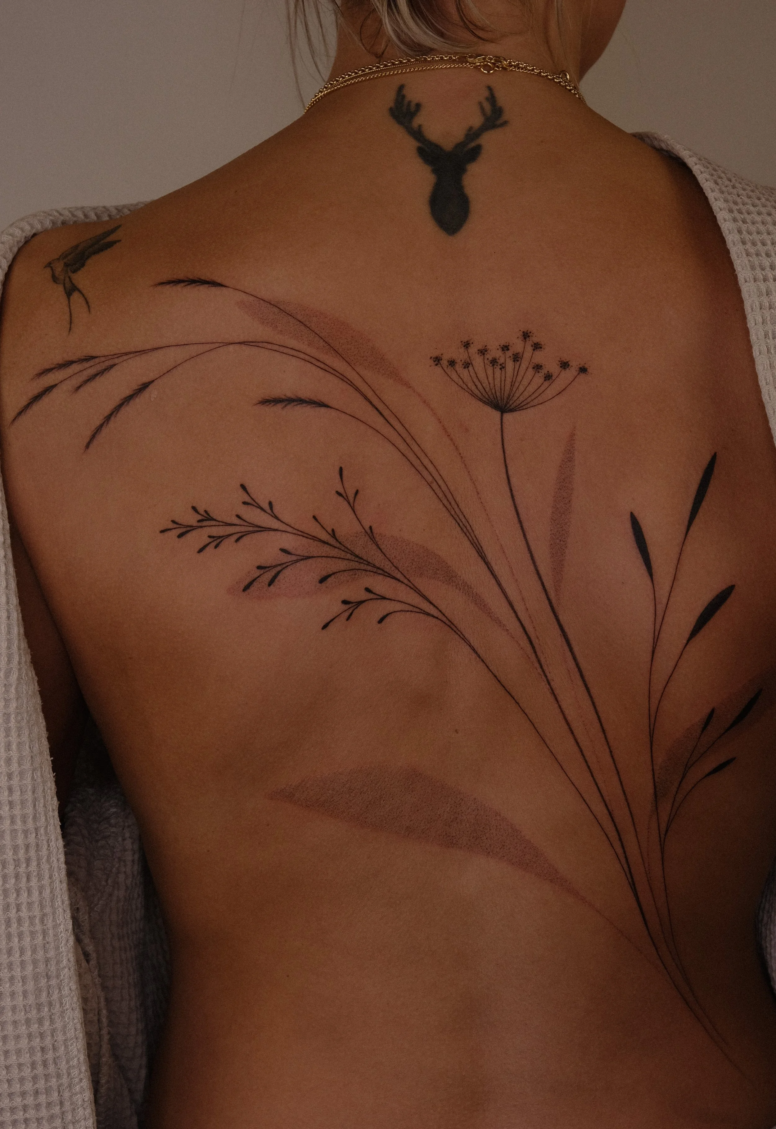 DSCF8854.JPG