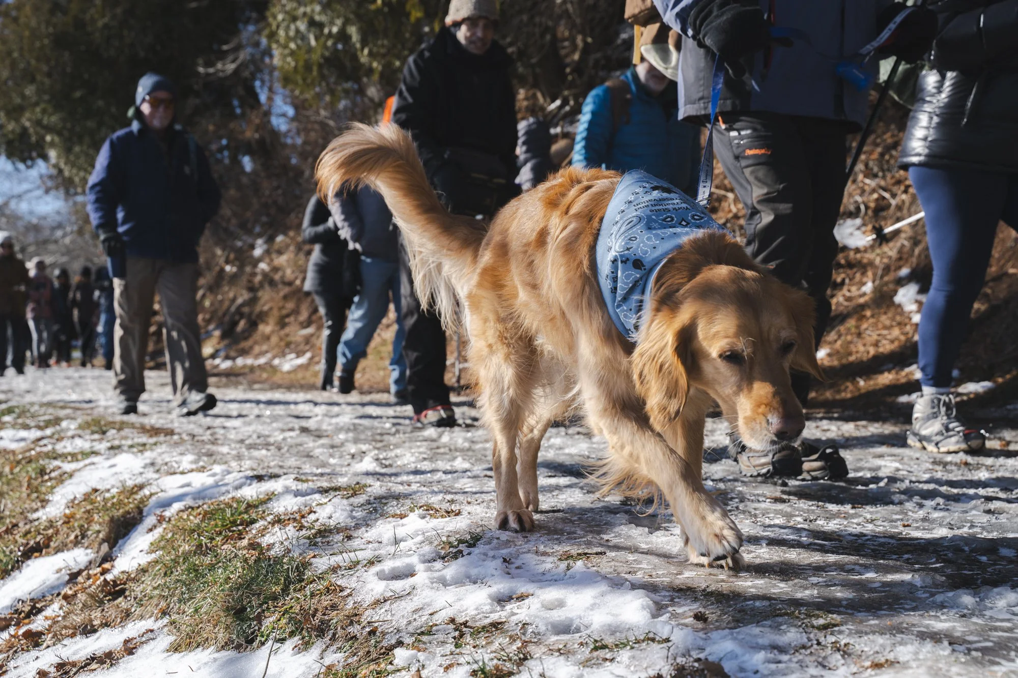 First Hike of the Year 2026 (57 of 110).jpg