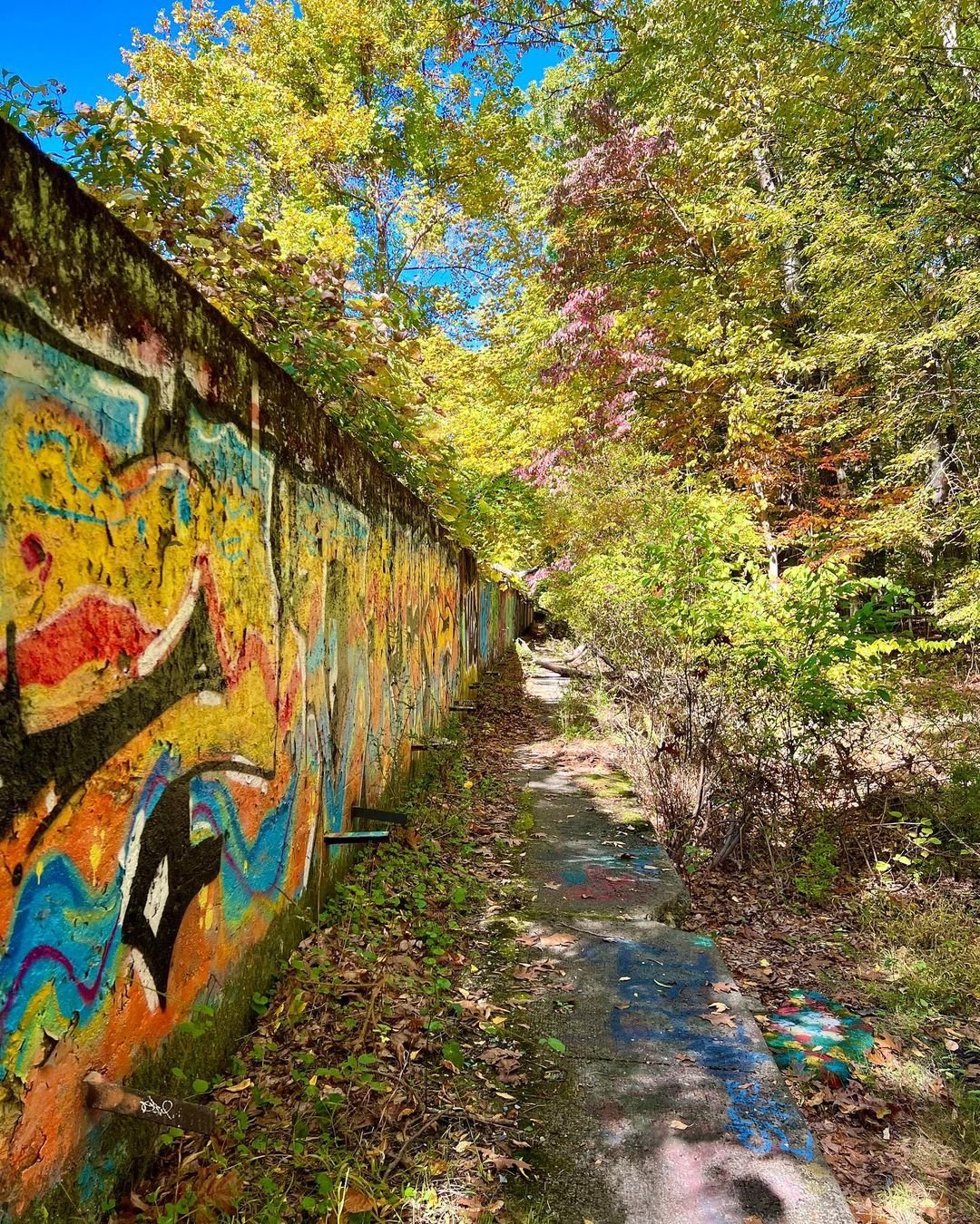 Blauvelt2 at mrnaturalnyc.jpg