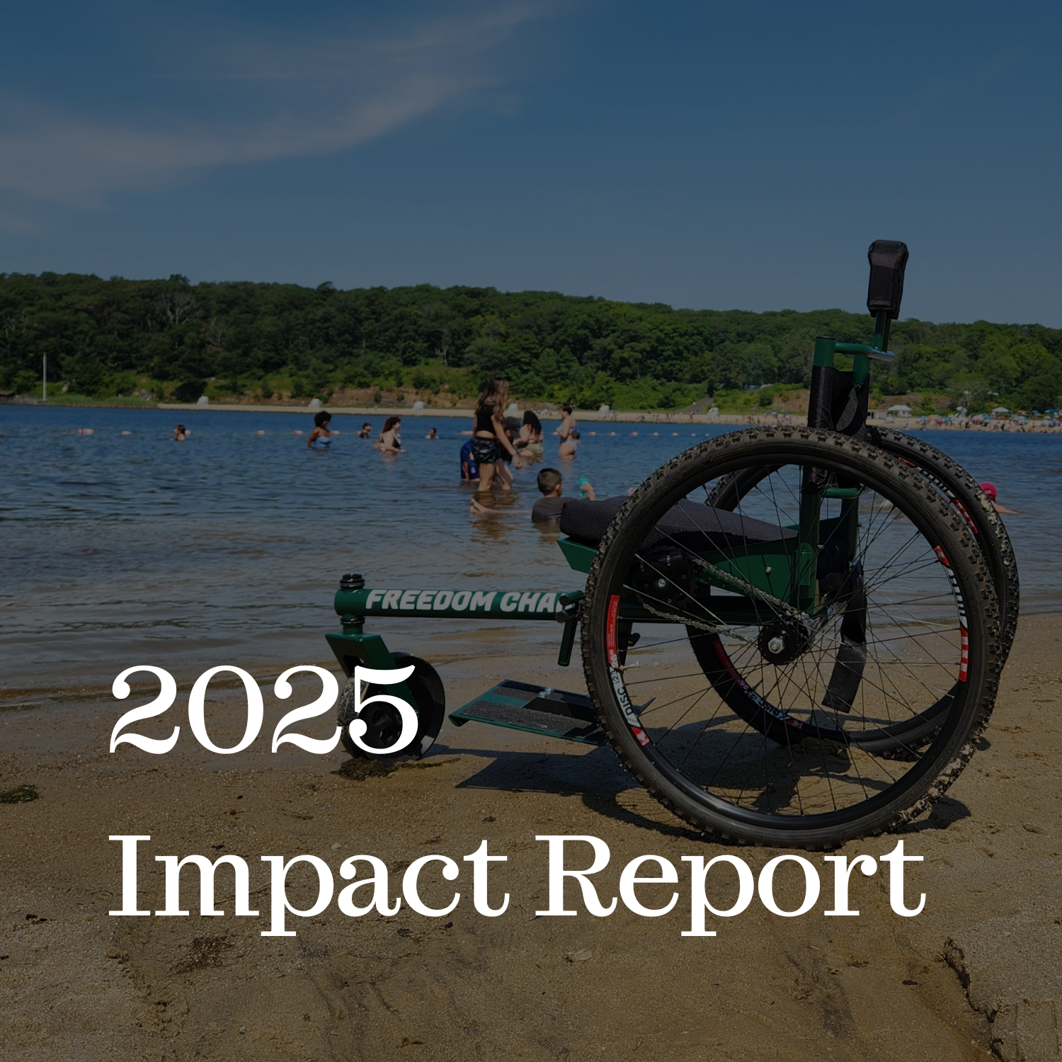 Click here to view our 2025 Impact Report
